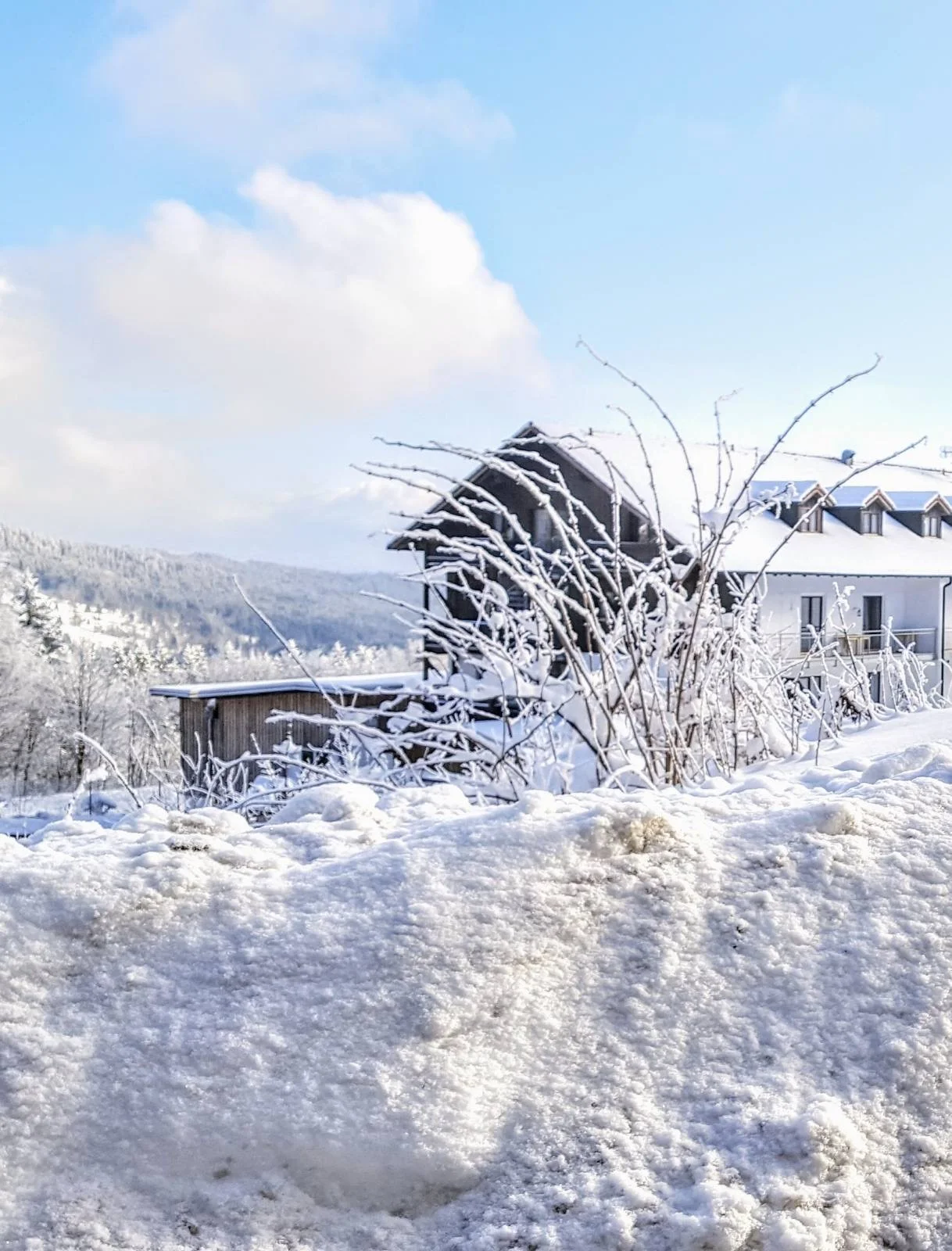 Vybavený moderní apartmán na Šumavě pod vrcholem Almberg