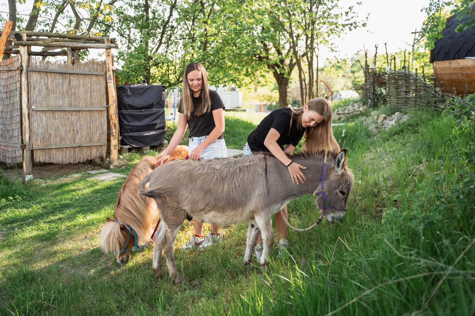Pobyt mezi zvířátky na ranči: karavan, chatka či maringotka, mini zoo, koně a možnost snídaní