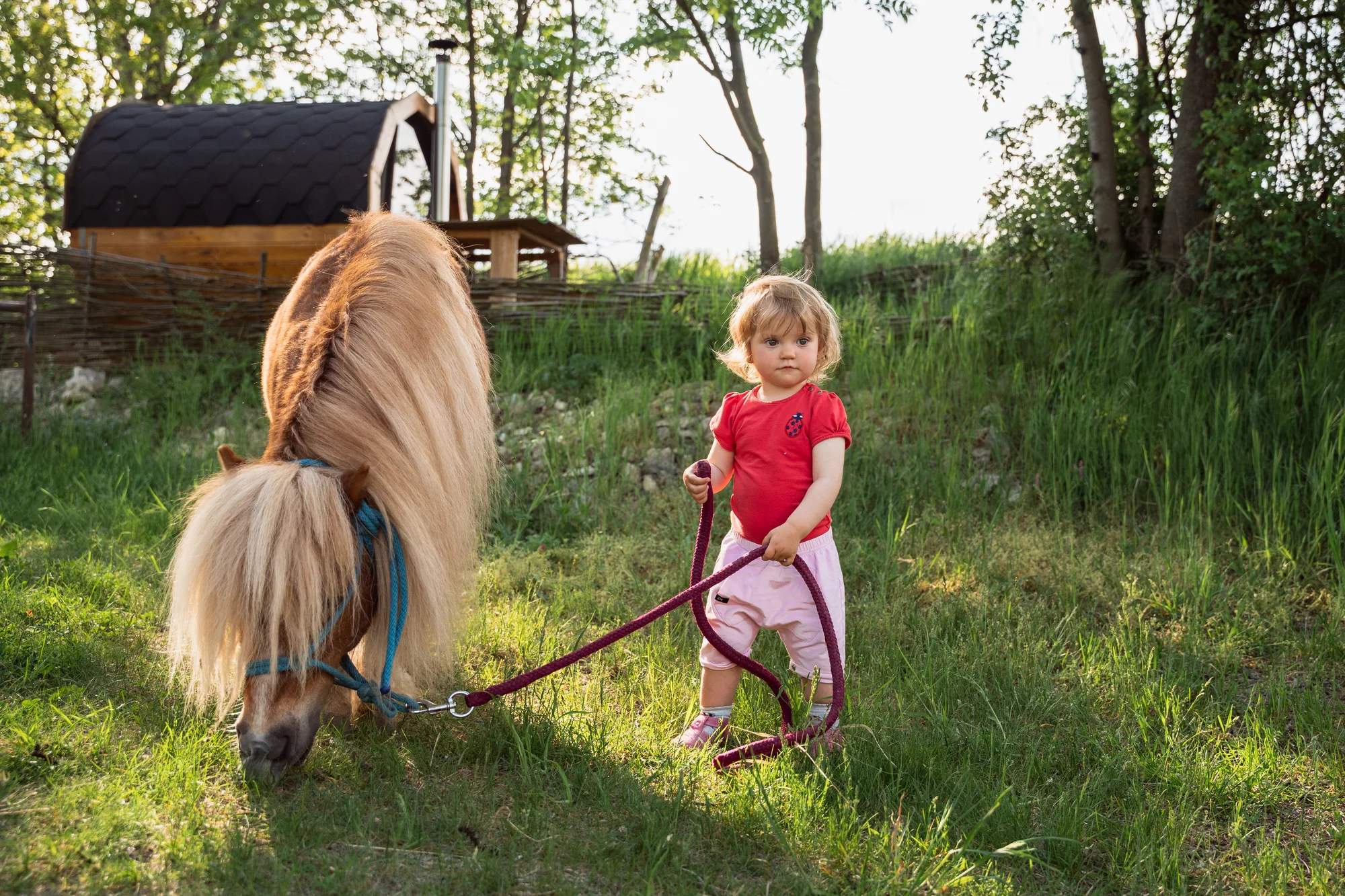 Pobyt mezi zvířátky na ranči: karavan, chatka či maringotka, mini zoo, koně a možnost snídaní