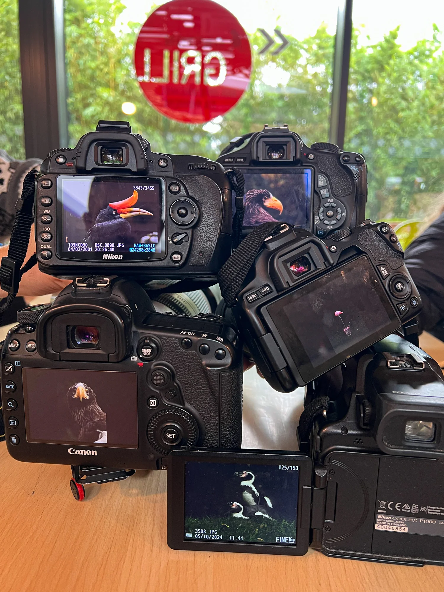 Fotografický prémium kurz v 5 různých zoo pro začátečníky i pokročilé