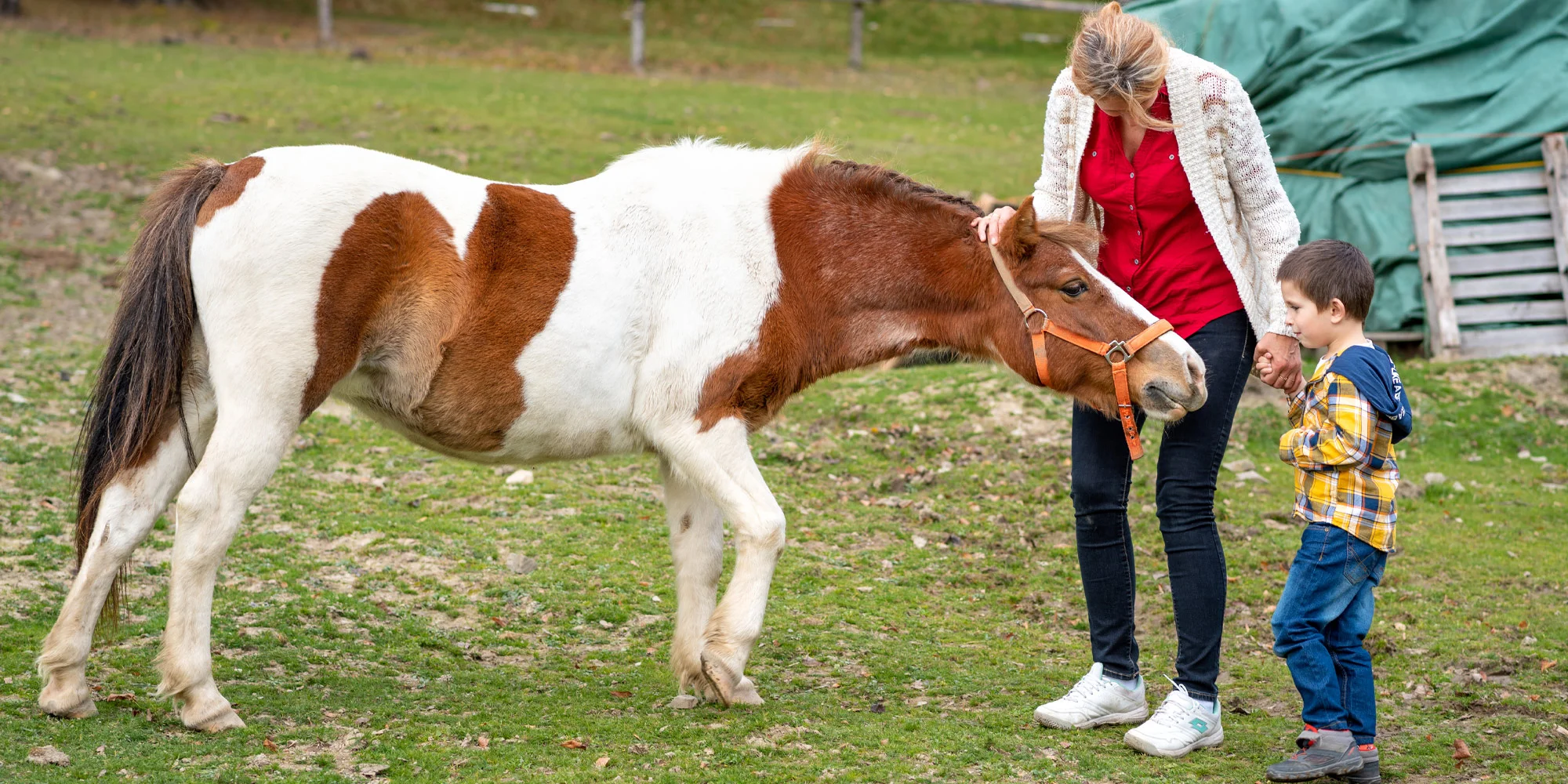 Příjemný penzion v přírodě Beskyd s koňmi a dalšími zvířaty