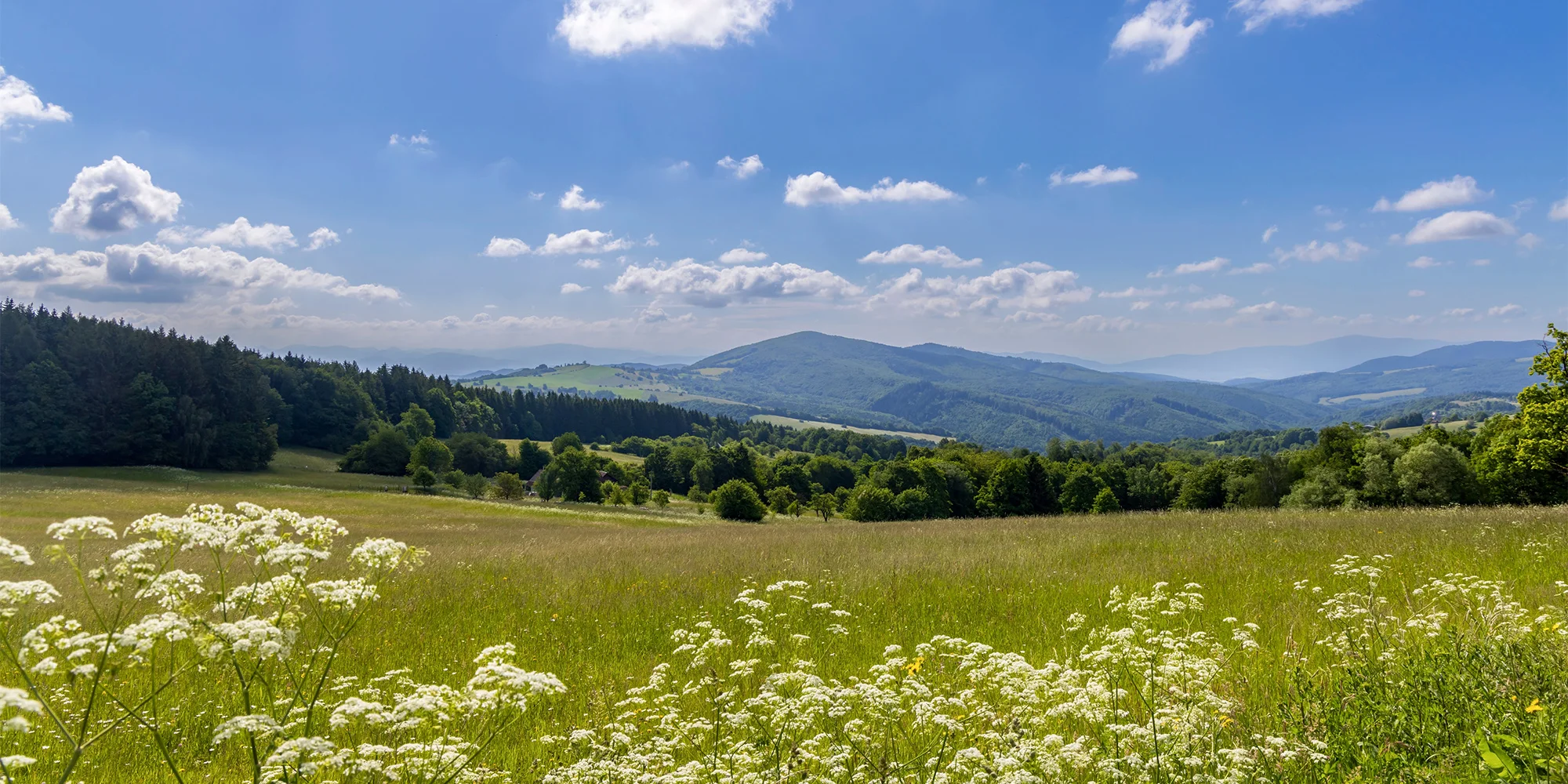 Romantika a relax na jihu Moravy: wellness apartmán s privátní vířivkou a saunou