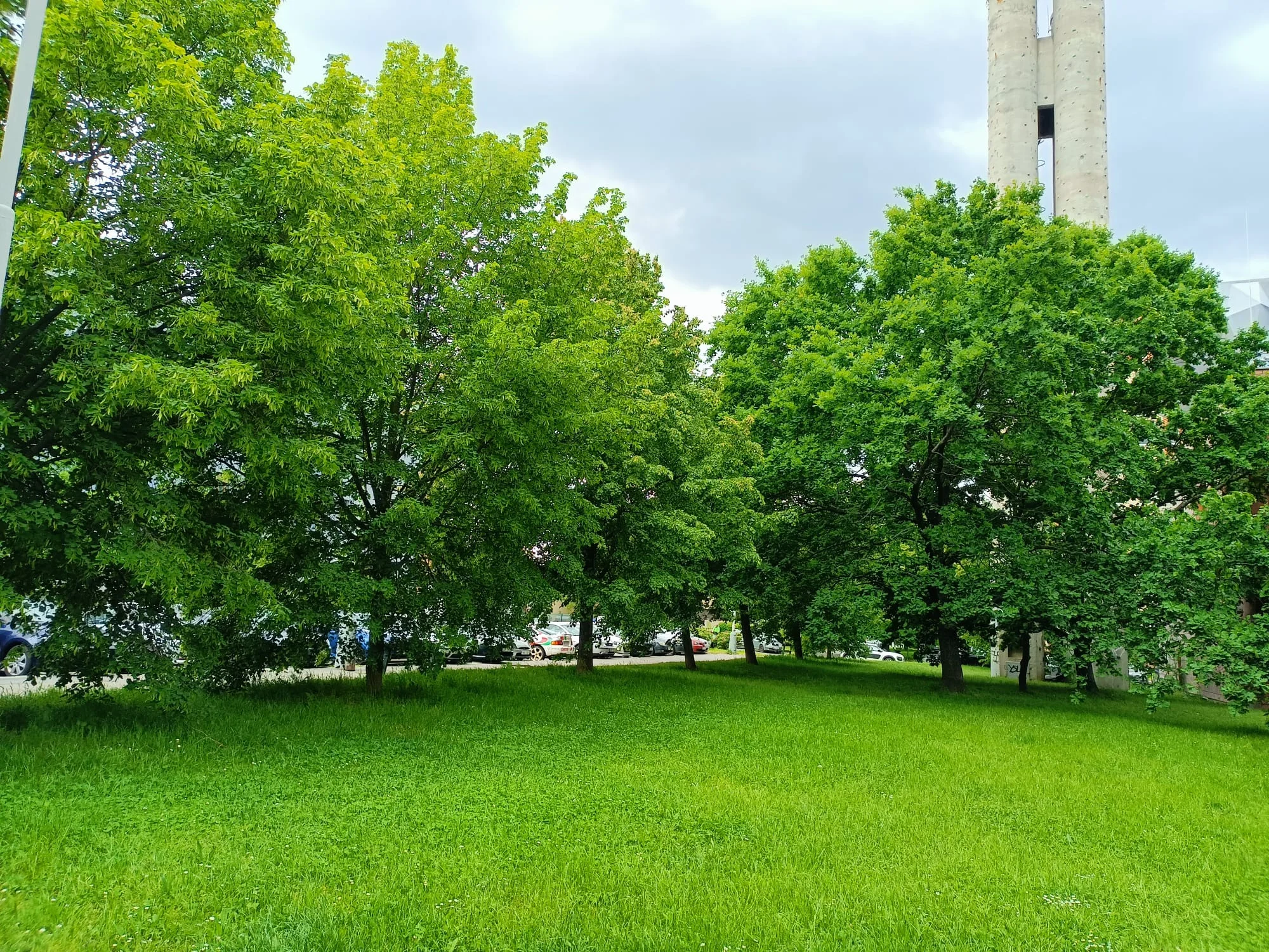 Ošetření pro aknózní pleť: hloubkové čištění vč. laserové biostimulace