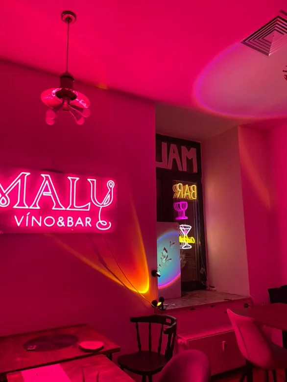 Malování s vínem pro jednoho, pár i partu přátel vč. plátna a pomůcek