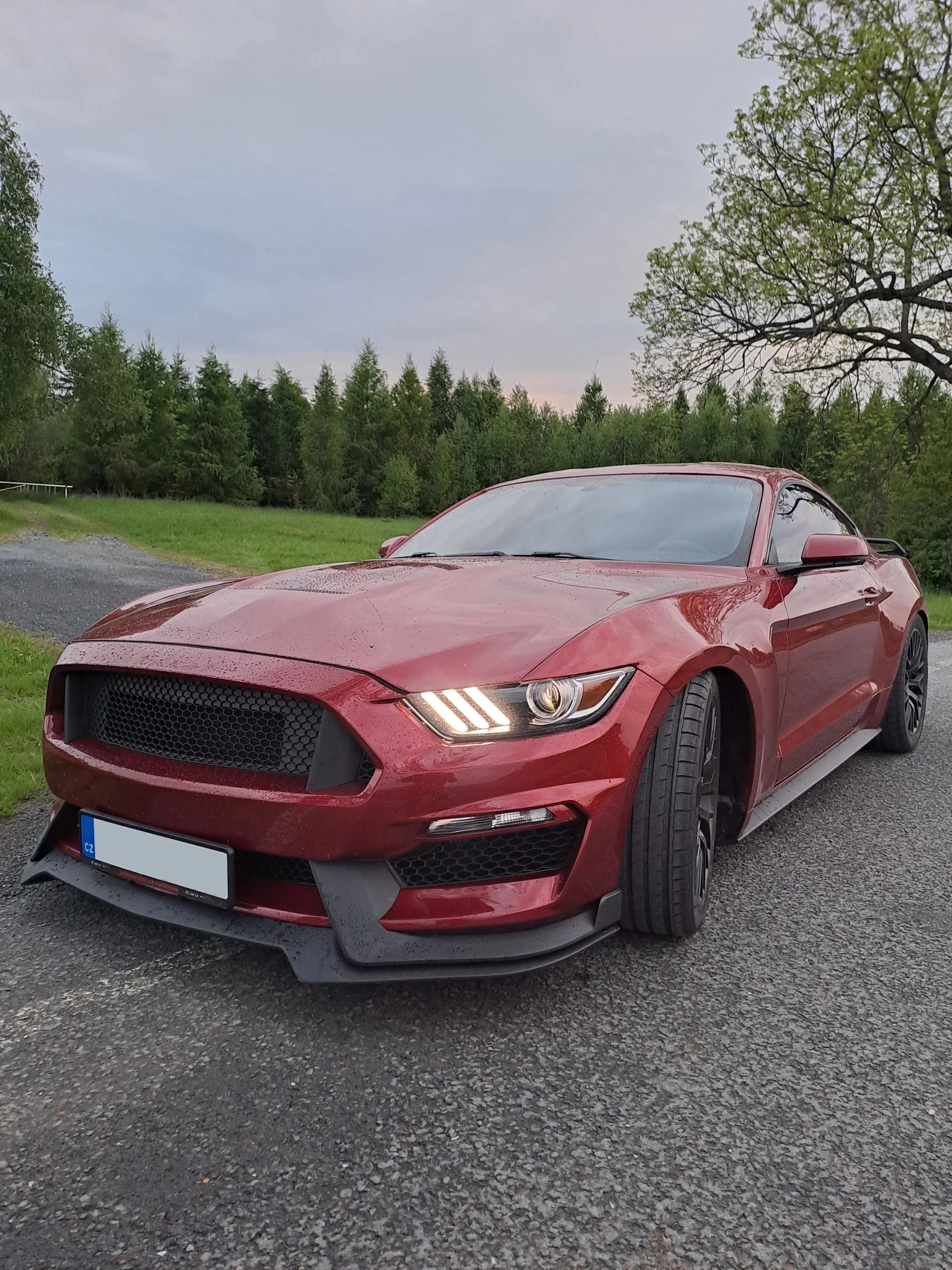 Pronájem ikonického amerického vozu Ford Mustang GT 500: na 6, 12, 24 i 48 hodin