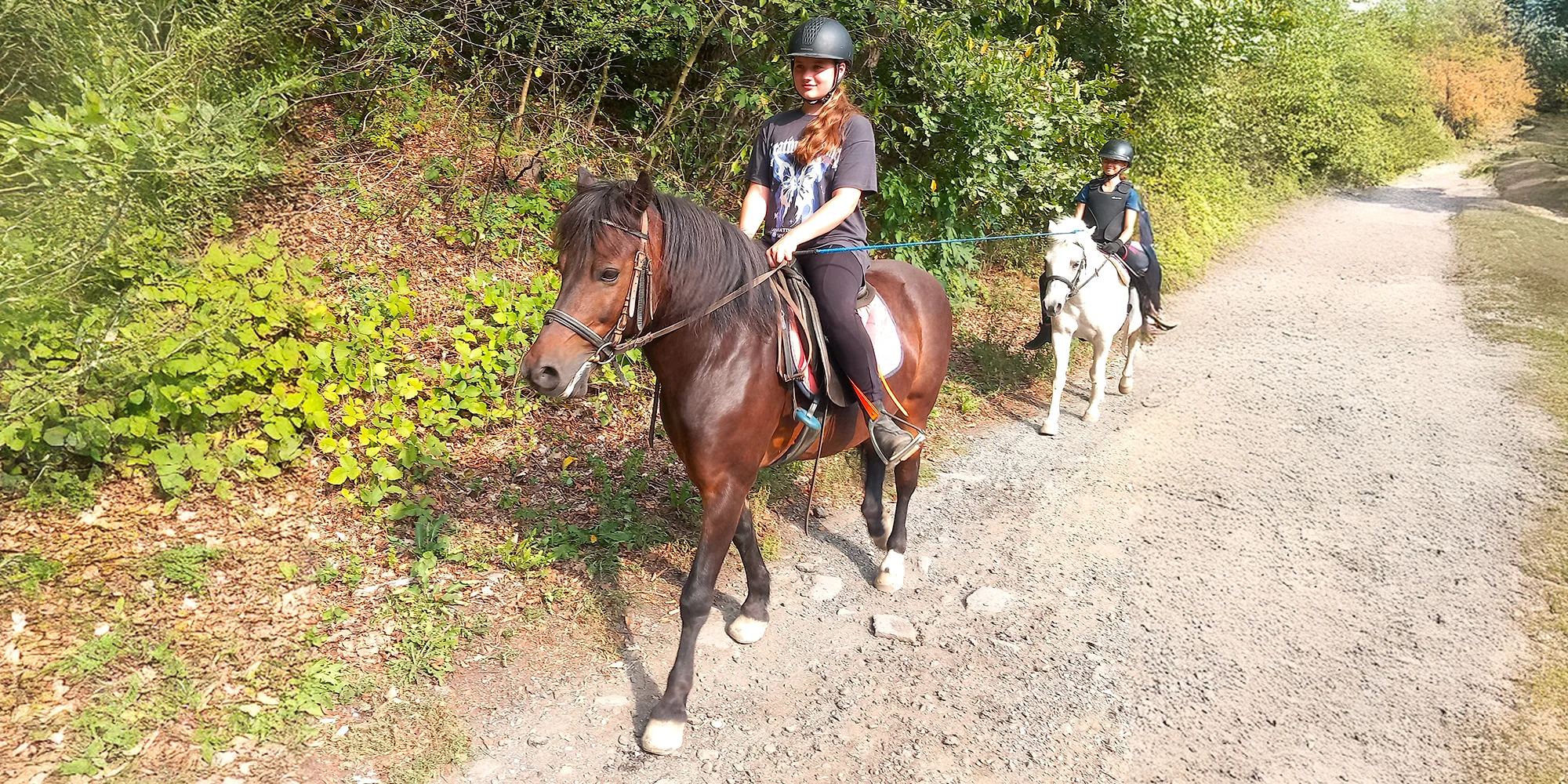 Projížďka s poníky pro děti nebo individuální lekce s koňmi v jezdecké škole