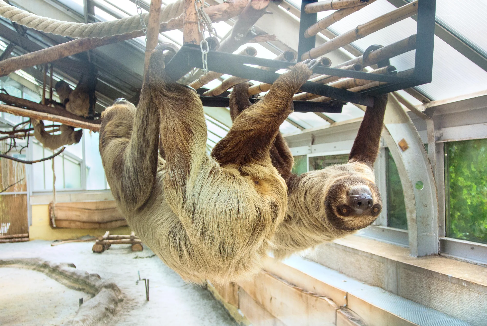 1denní výlet do Budapešti vč. dopravy autobusem: Tropicarium a zoo