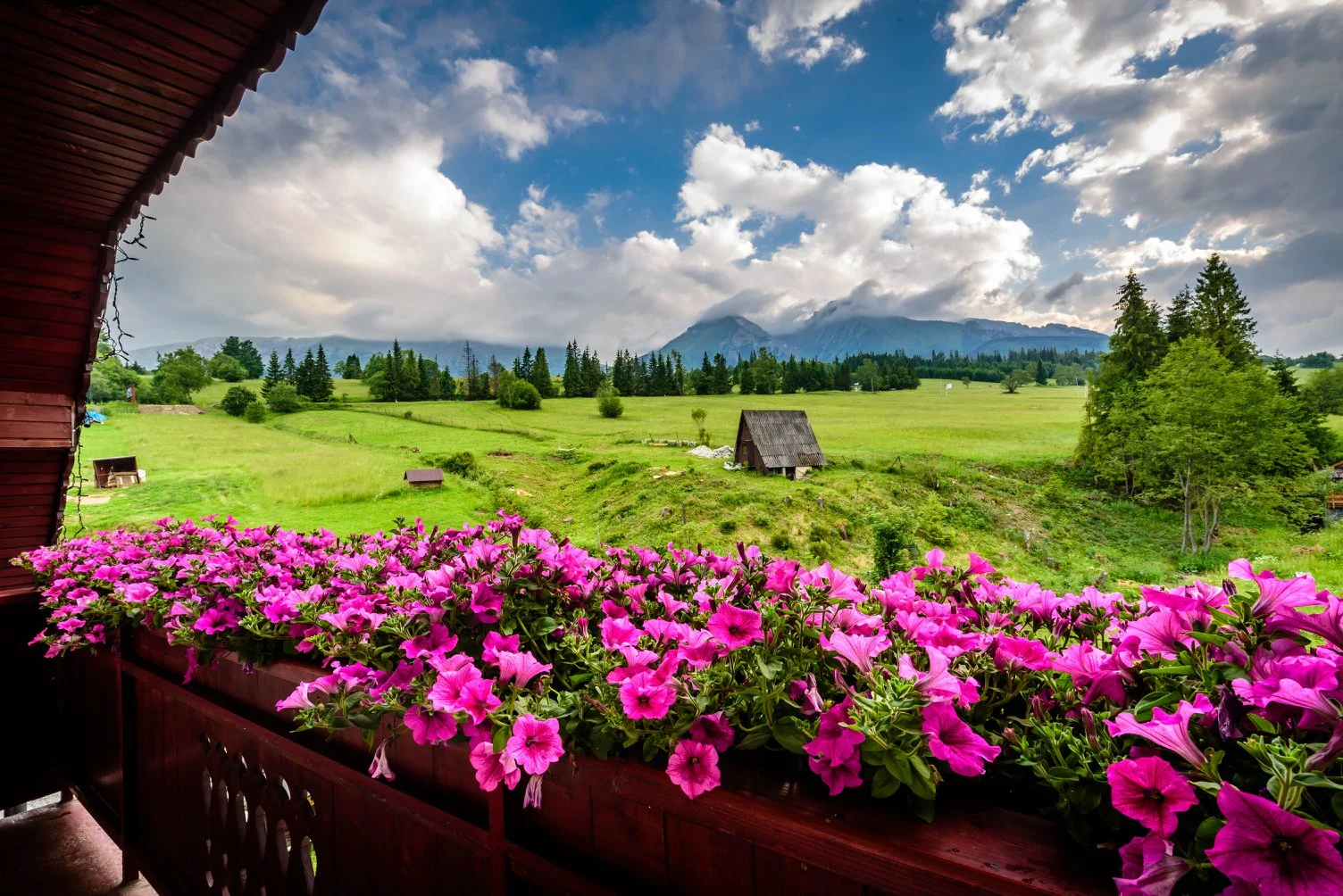 Belianské Tatry: penzion s polopenzí a neomezeným wellness pro 2–4 osoby