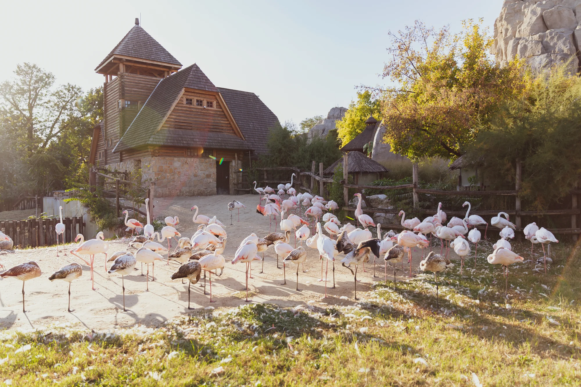 1denní výlet do Budapešti vč. dopravy autobusem: Tropicarium a zoo