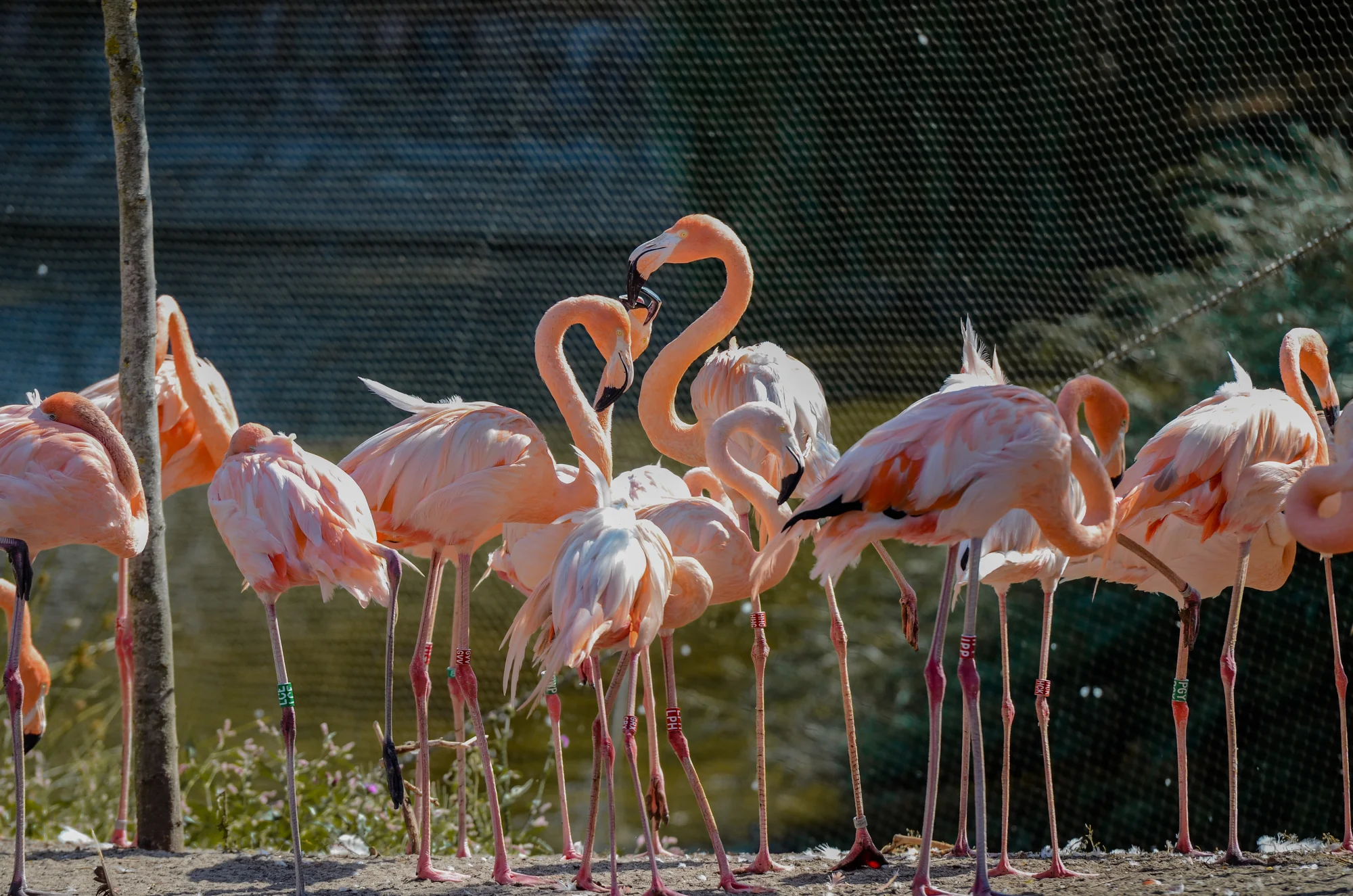 1denní výlet do Budapešti vč. dopravy autobusem: Tropicarium a zoo