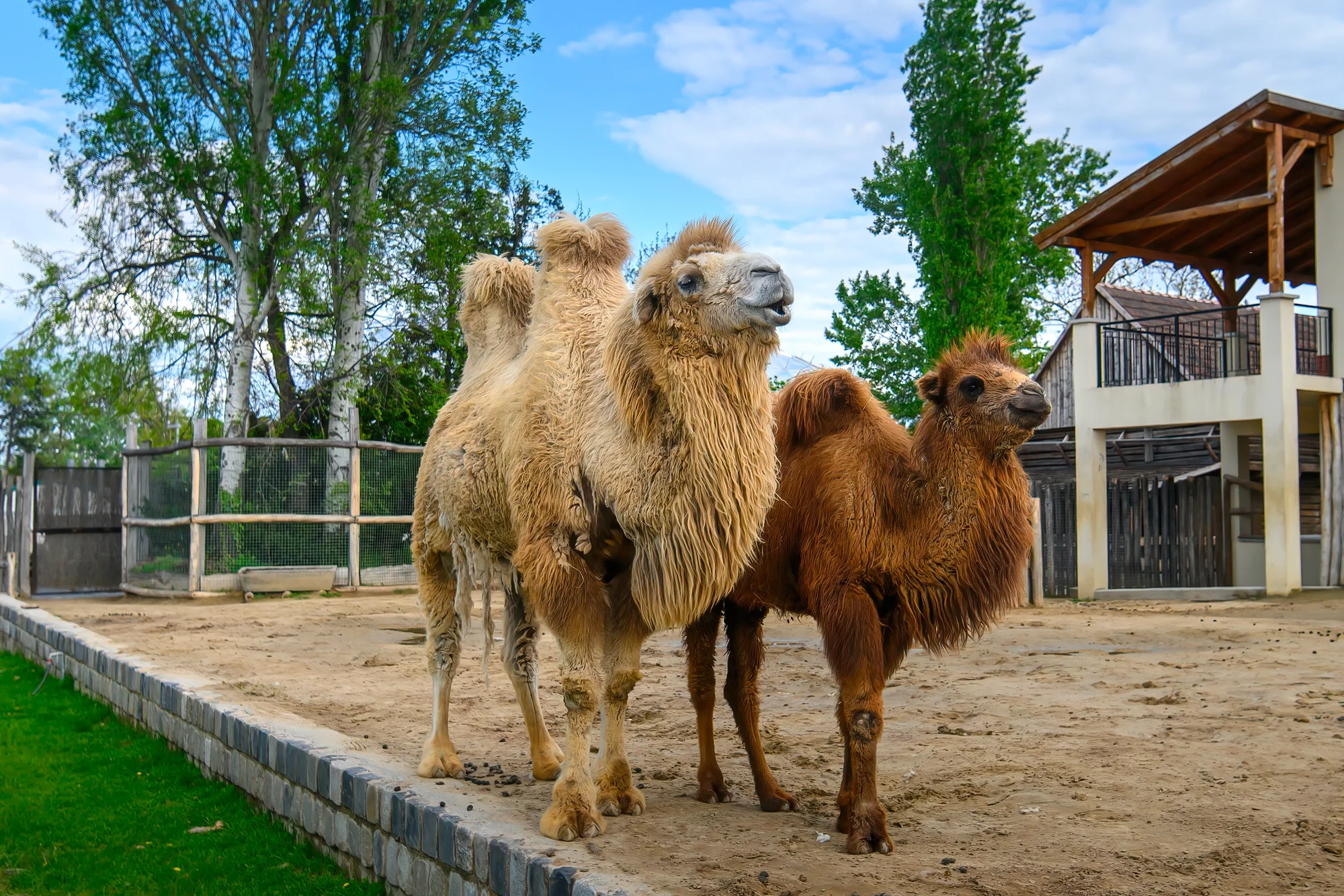 1denní výlet do Budapešti vč. dopravy autobusem: Tropicarium a zoo