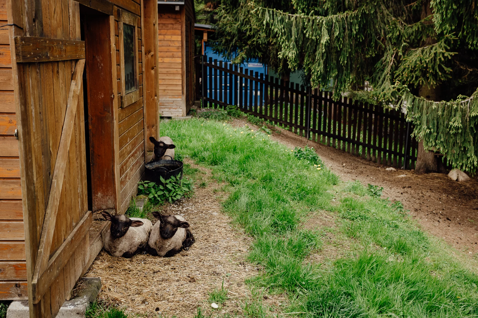 Skvělý odpočinek pro páry i rodiny: snídaně a relax v bazénech a saunách