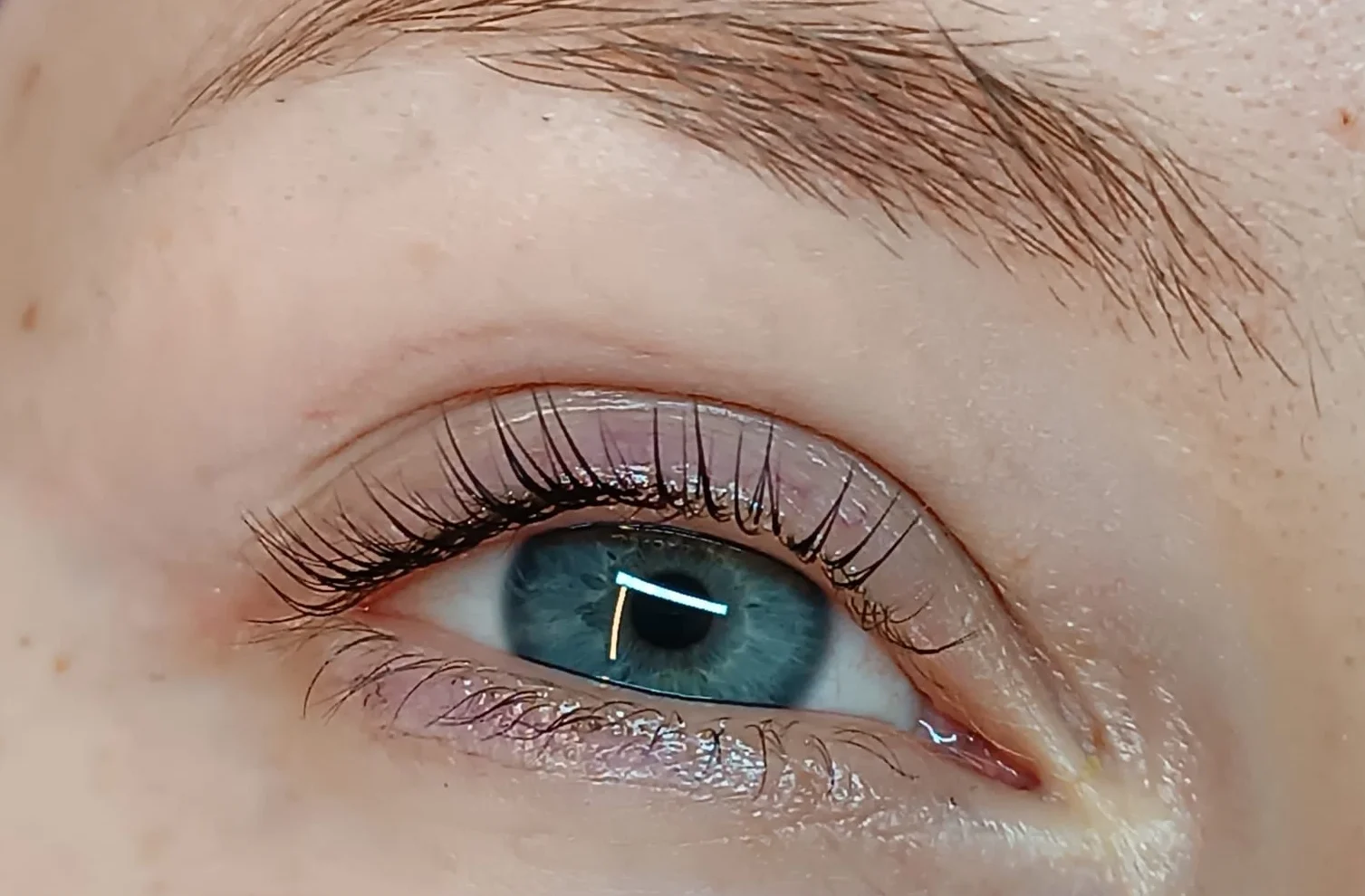 Krásný pohled bez řasenky a tužky: úprava či laminace obočí a lash lifting řas vč. barvení