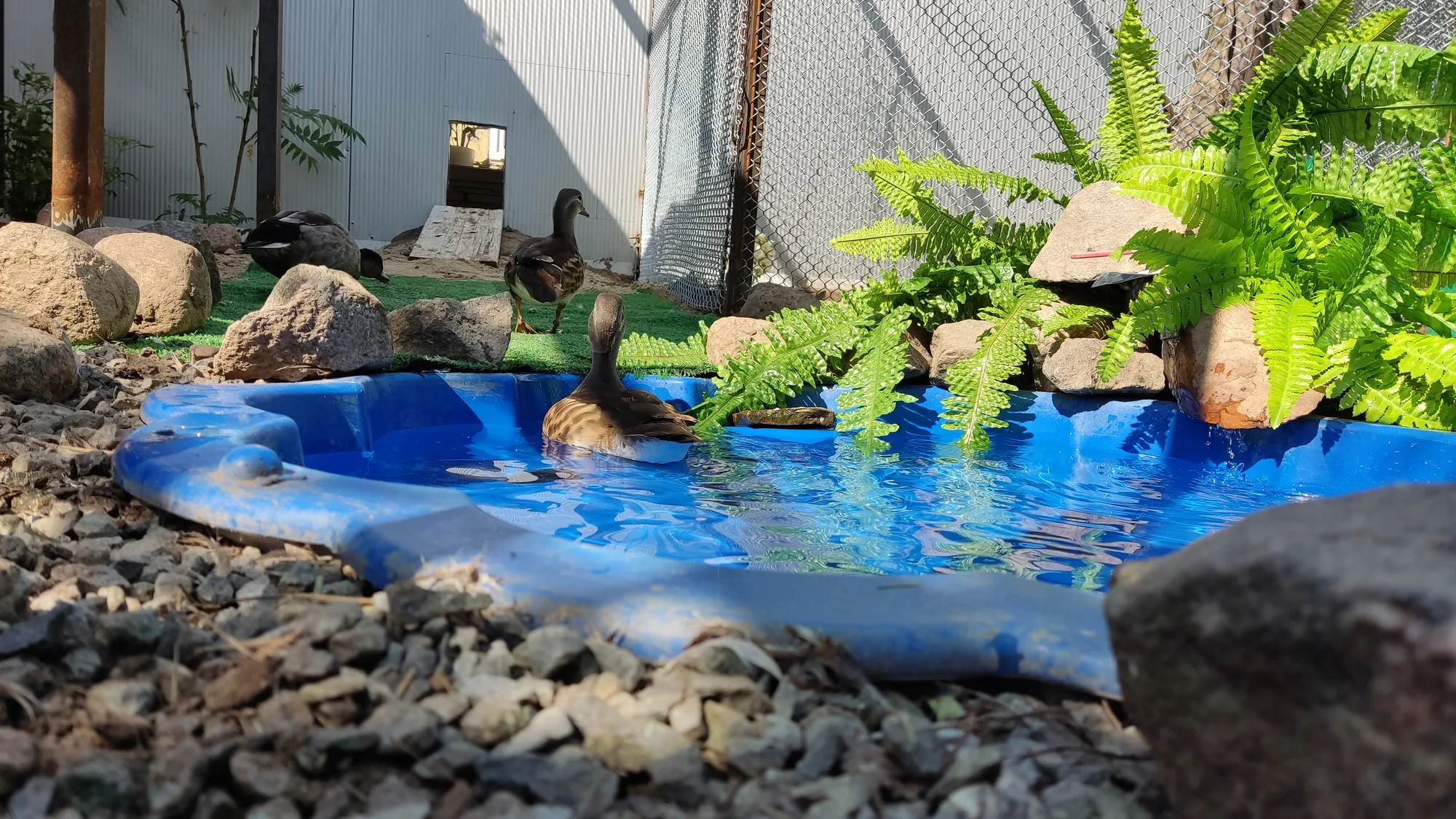 S rodinou k Baltu: snídaně, bazén a vířivka, minizoo i zahrada s grilem