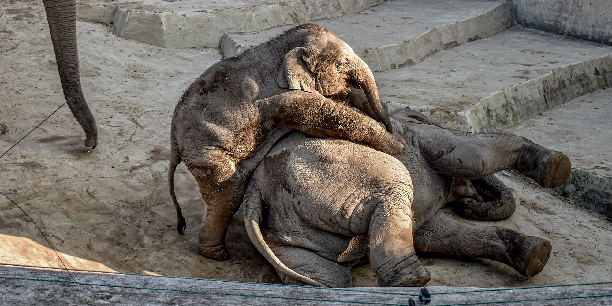 1denní výlet do Budapešti vč. dopravy autobusem: Tropicarium a zoo