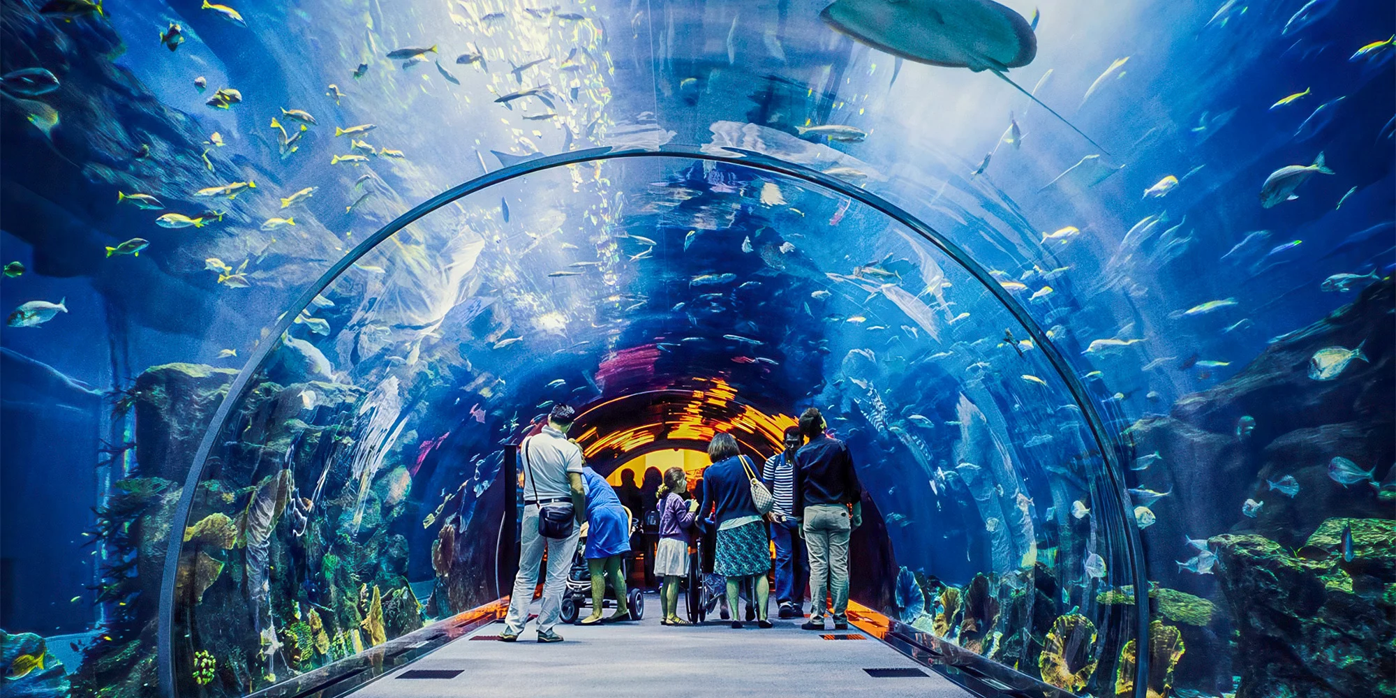 1denní výlet do Tropicaria a zoo v Budapešti vč. dopravy