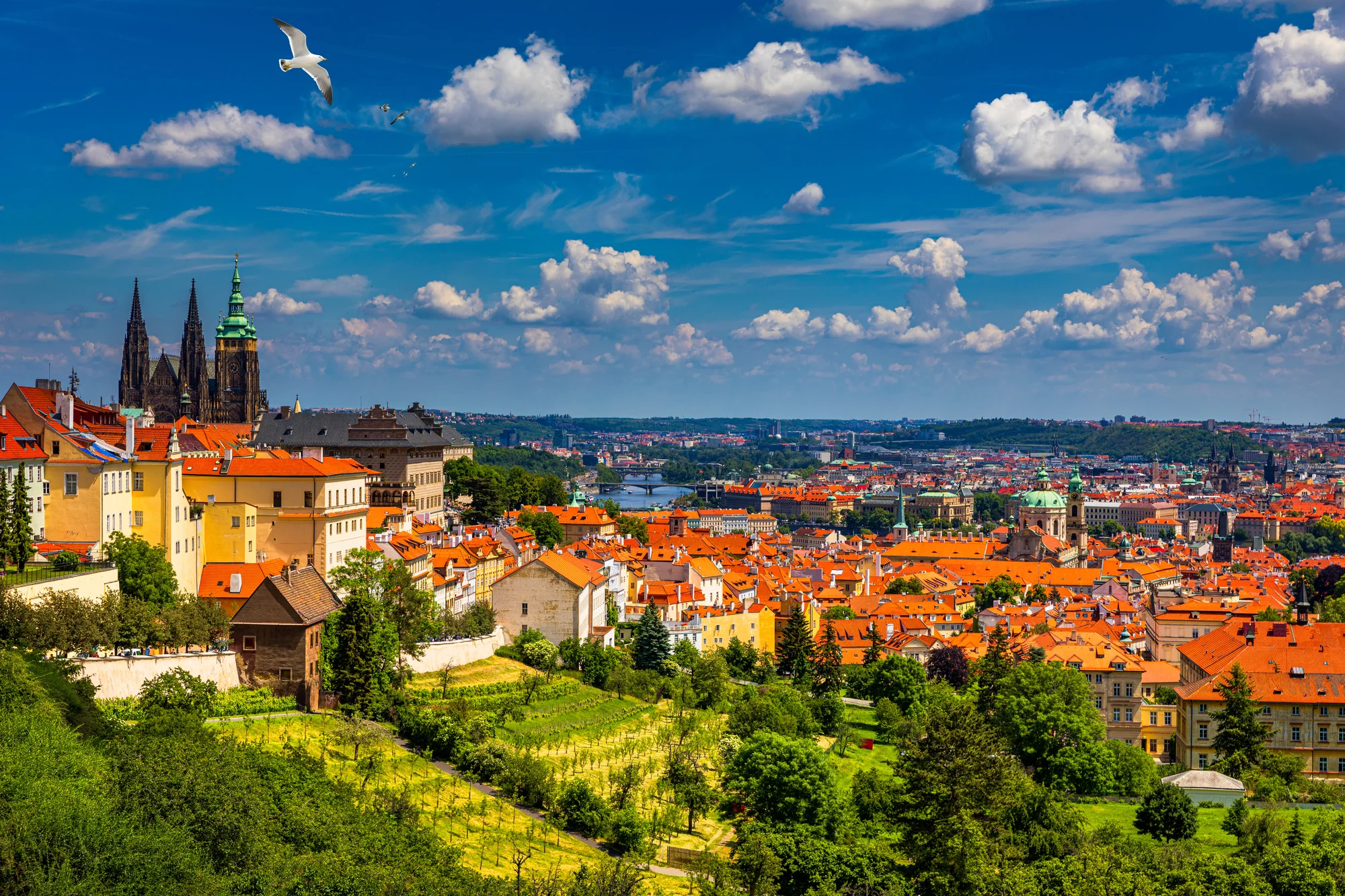 Hostel v pražských Holešovicích, vč. bufetové snídaně, bazénu a sauny