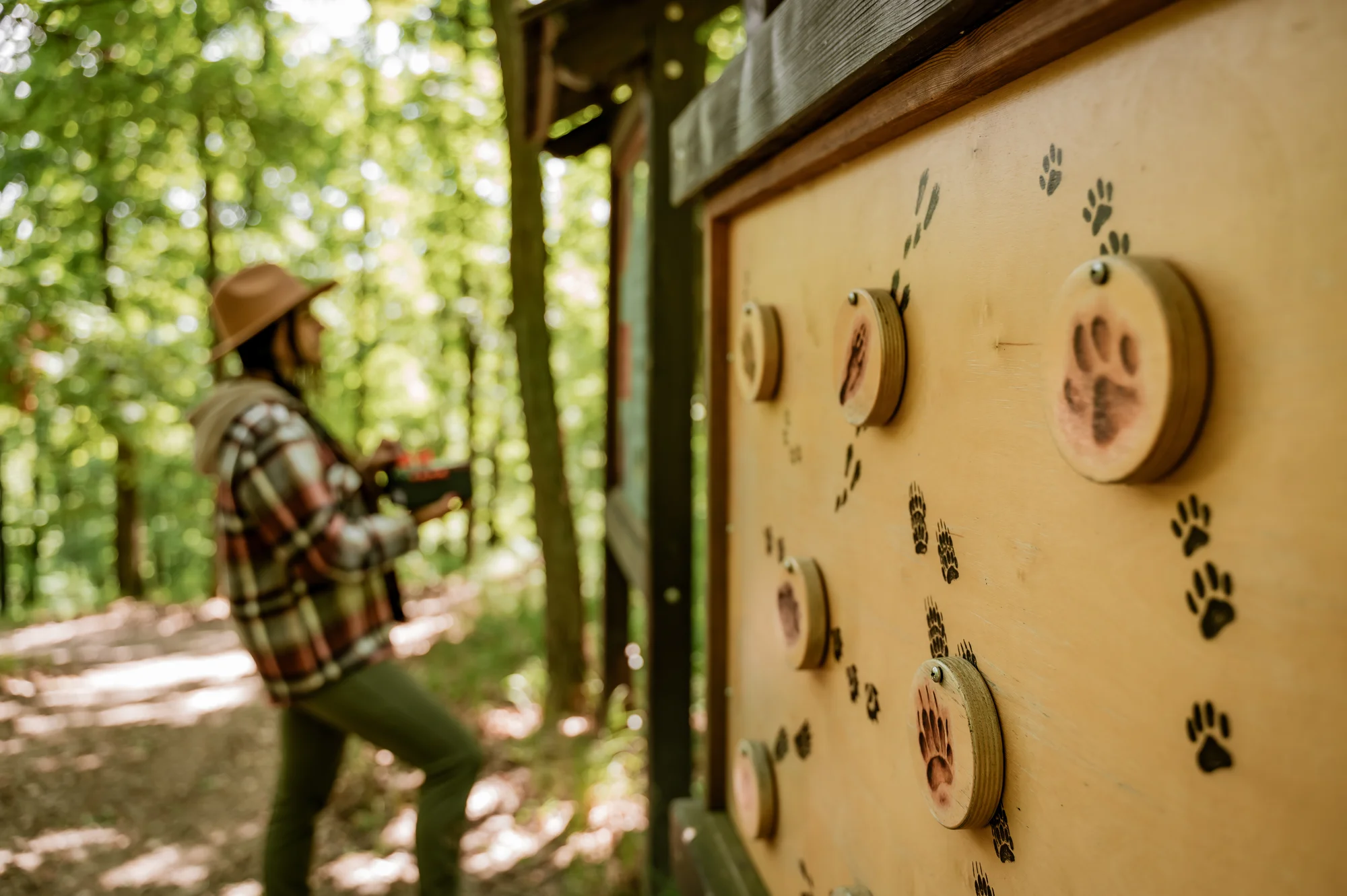 Tree house na kraji Brna: ubytování v souladu s přírodou i úniková šifrovací hra pro zábavu