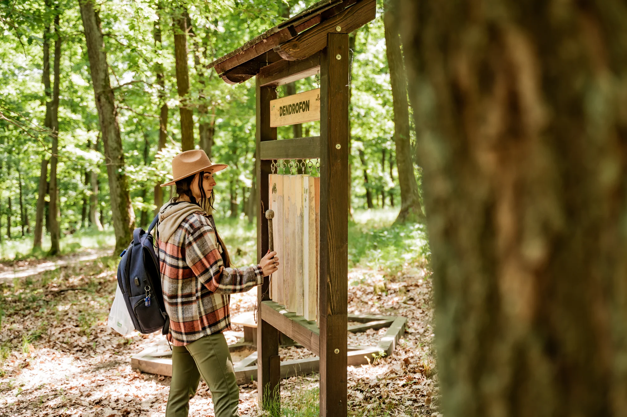 Tree house na kraji Brna: ubytování v souladu s přírodou i úniková šifrovací hra pro zábavu