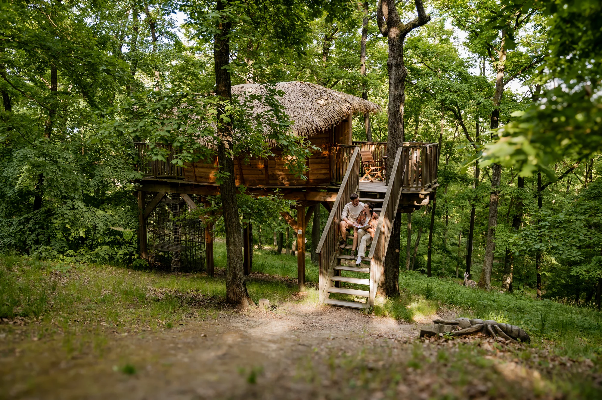 Tree house na kraji Brna: ubytování v souladu s přírodou i úniková šifrovací hra pro zábavu