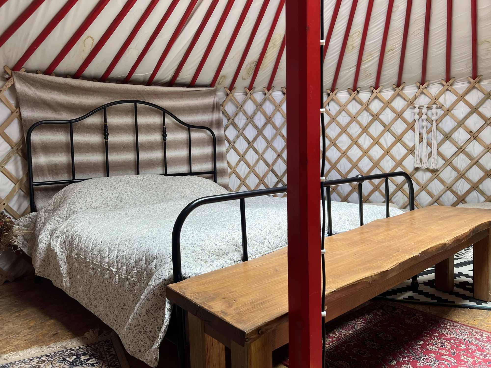 Glamping: zrelaxujte v mongolské jurtě s otevřeným výhledem na noční oblohu, až pro 3 osoby, vč. snídaně