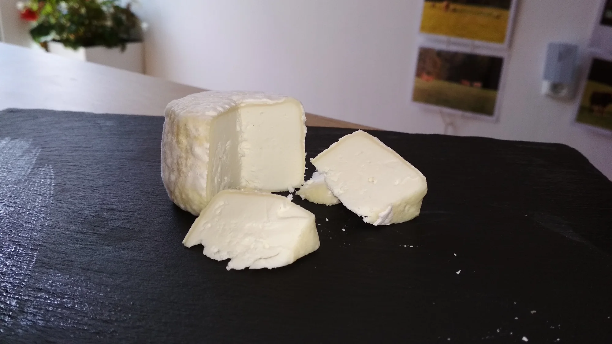 Pasení koz, prohlídka stájí i ochutnávka sýrů: exkurze na farmě pro 2 osoby i celou rodinu