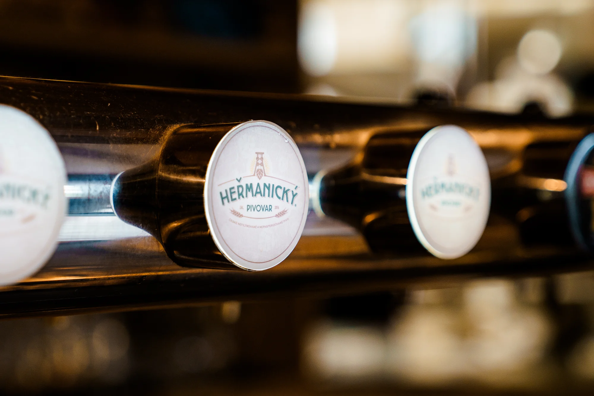 Prohlídka Heřmanického pivovaru s degustací mladých piv i jídlem pro 1 či 2 osoby