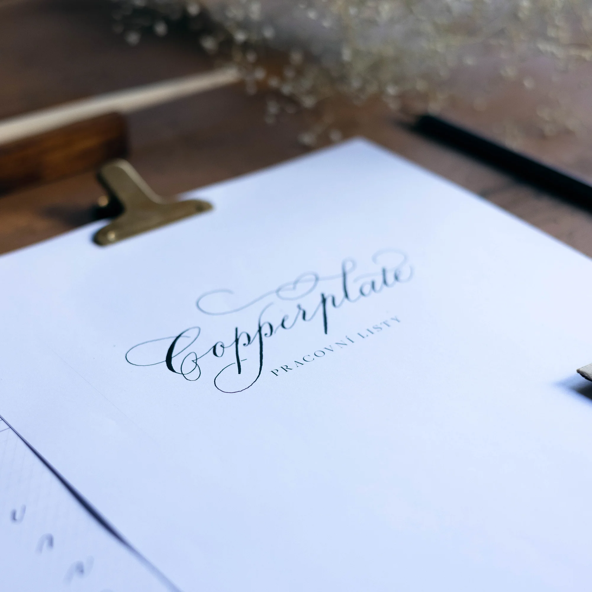 Kaligrafický workshop: úvod do stylu Copperplate, psaní monogramů i flourishing