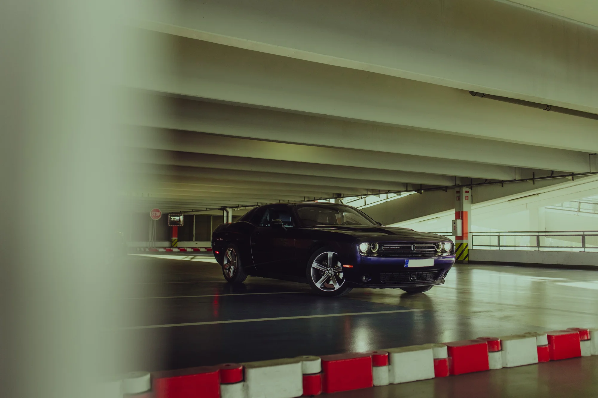 Ford Mustang a Dodge Challenger: 15 min. spolujízdy nebo až 1 hod. řízení