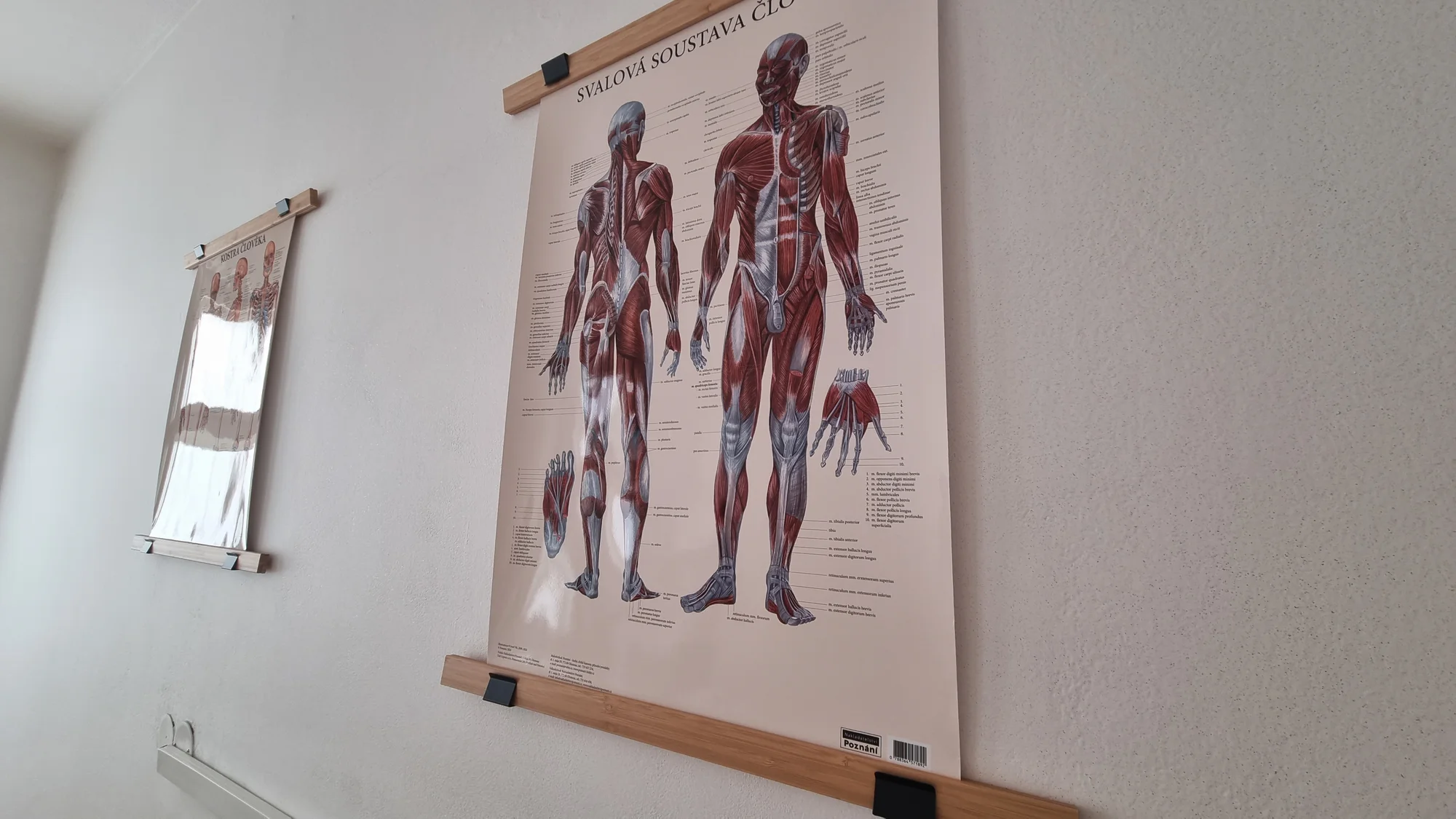 Úleva od bolesti: masáže na 35 až 110 minut včetně rehabilitačního poradenství