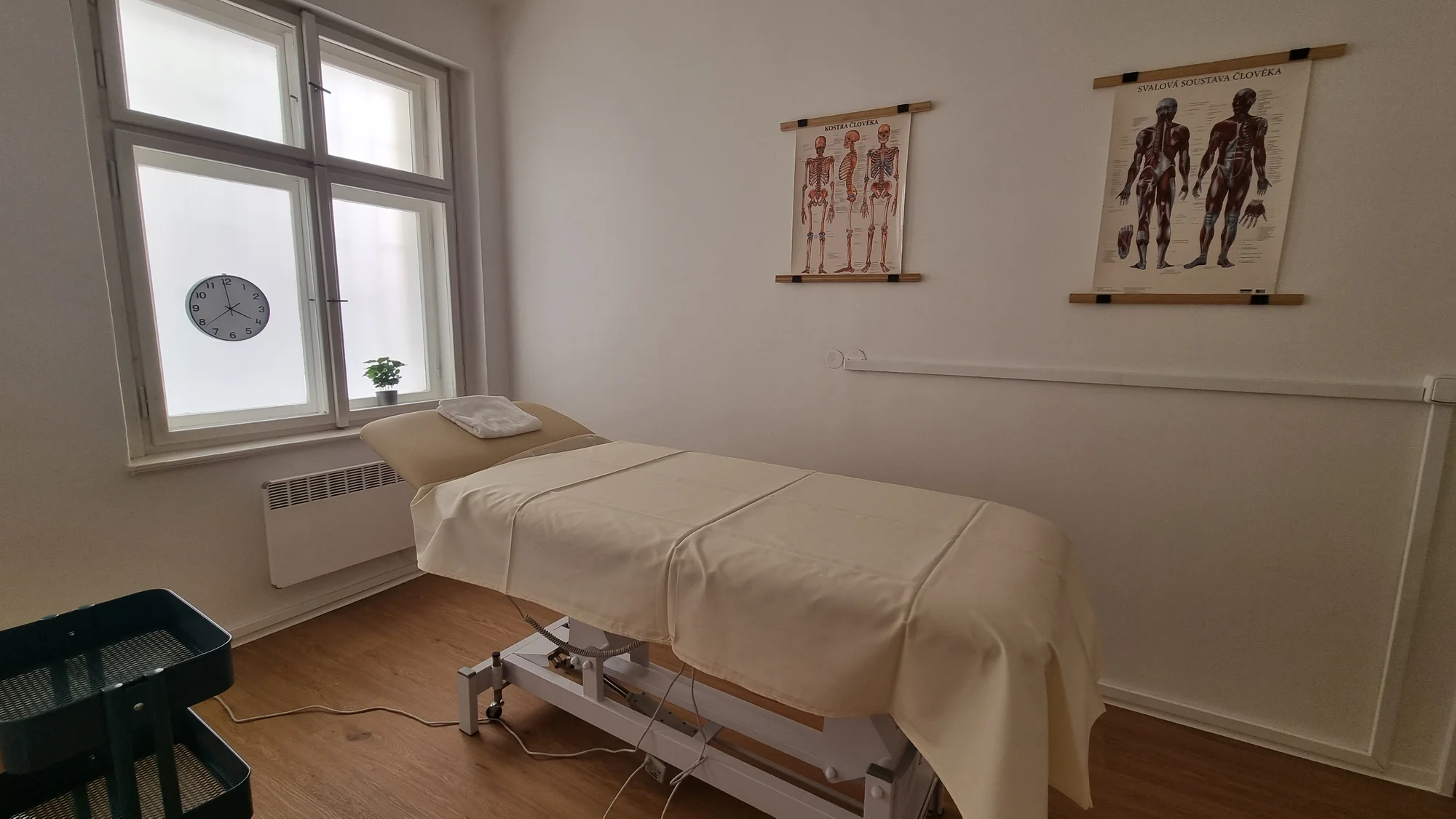 Úleva od bolesti: masáže na 35 až 110 minut včetně rehabilitačního poradenství
