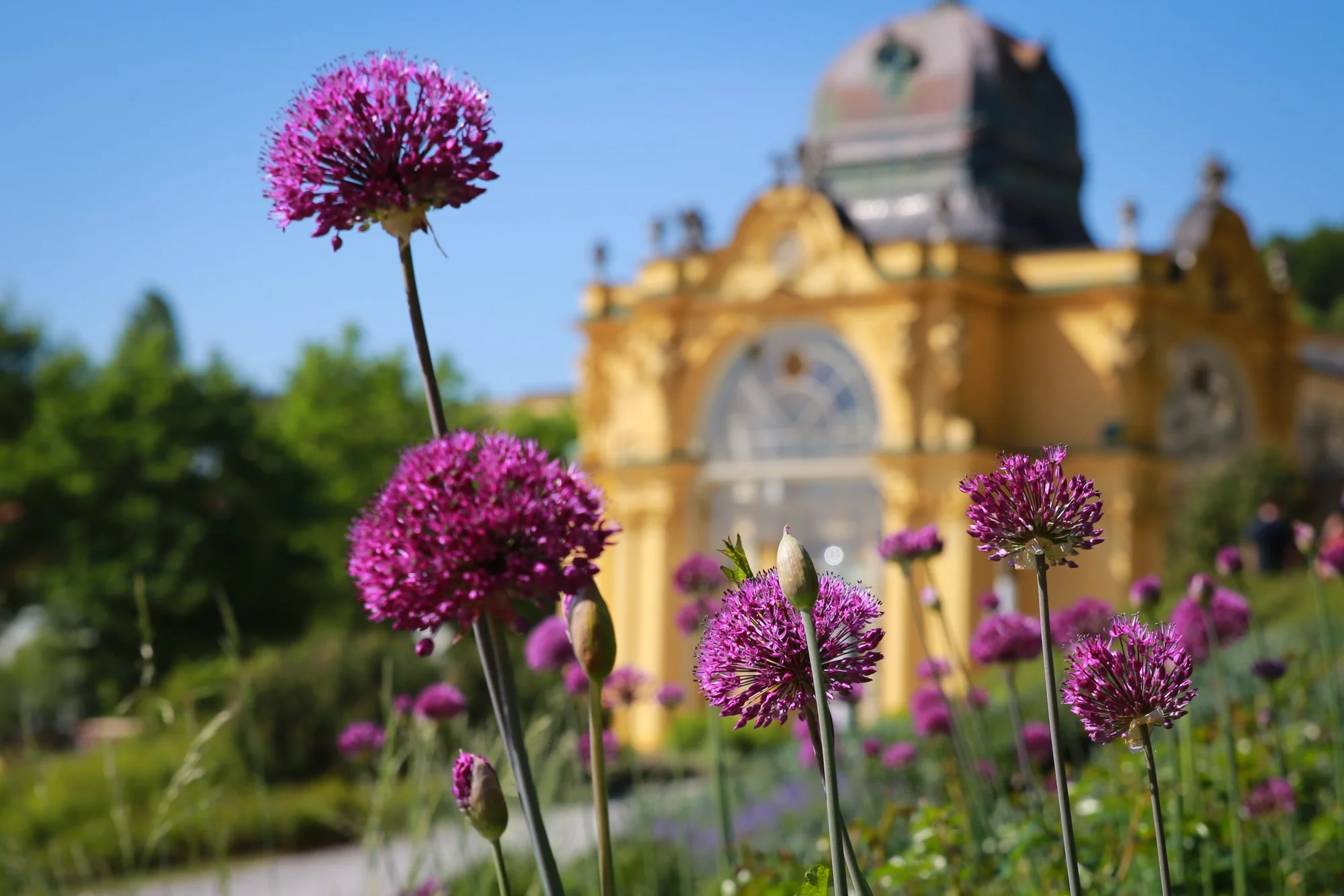Pobyt ve 4* hotelu v Mariánských Lázních: jídlo, vyhřívaný bazén i wellness procedury