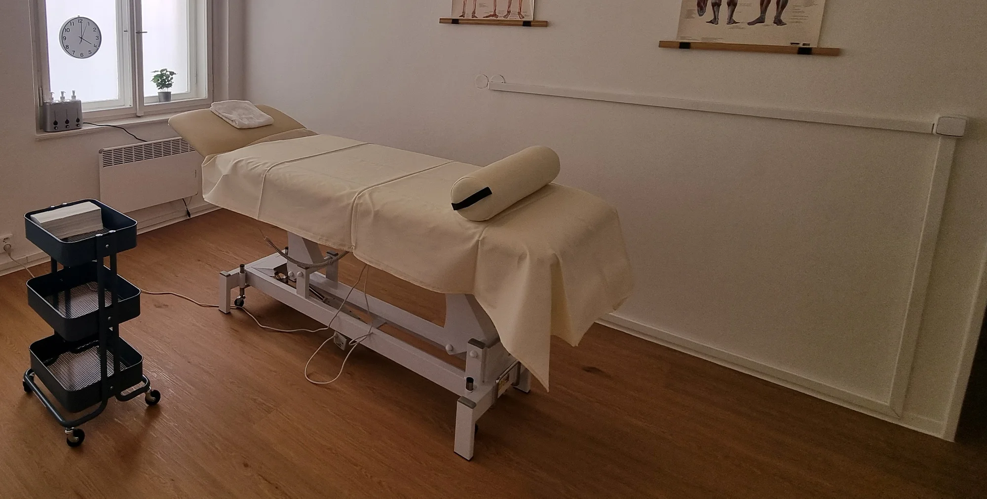Úleva od bolesti: masáže na 35 až 110 minut včetně rehabilitačního poradenství