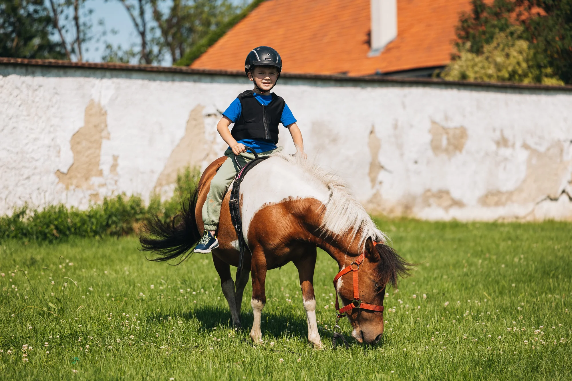 Procházka s kozou, poníkem, prohlídka farmy i pasení ovcí u Olomouce