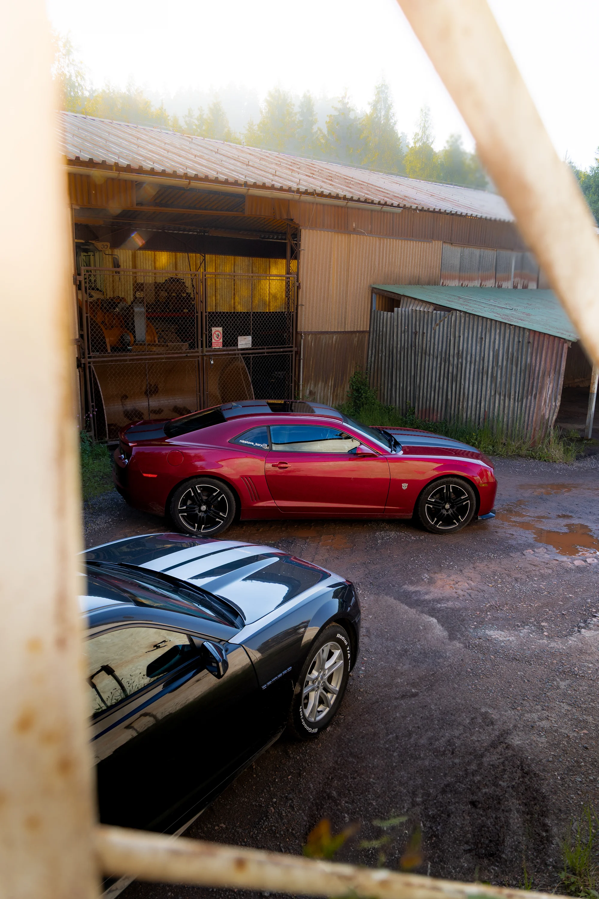 Pronájem Chevroletu Camaro Bumblebee i BodyKit SS: 3 hod. až 3 dny