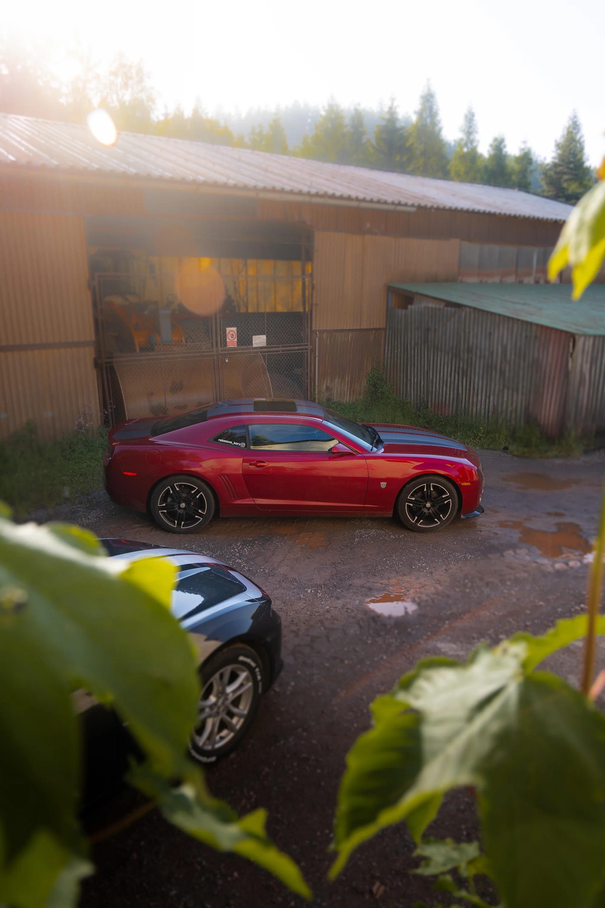 Pronájem Chevroletu Camaro Bumblebee i BodyKit SS: 3 hod. až 3 dny
