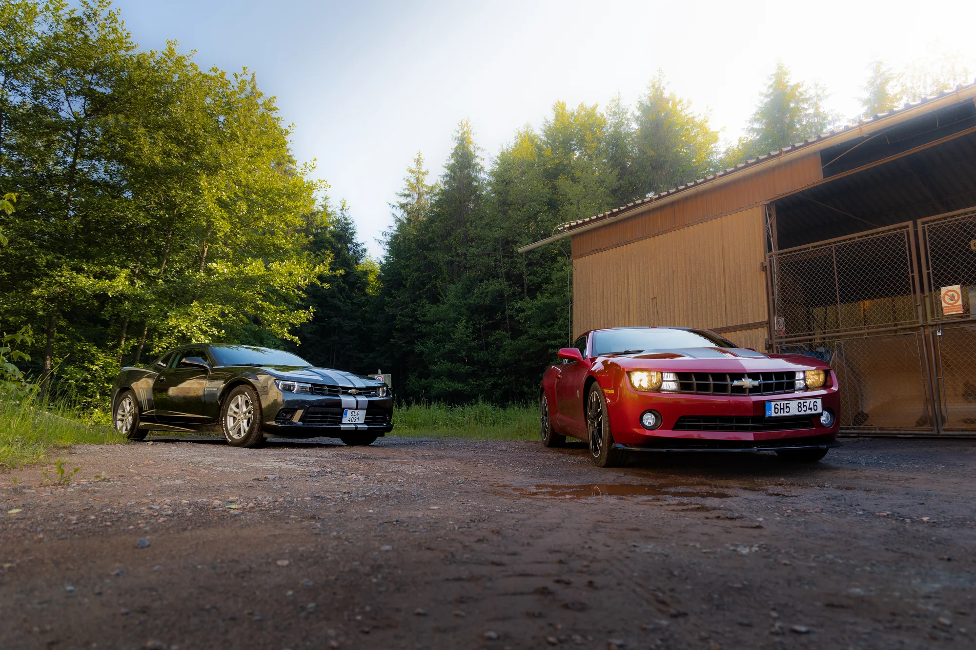 Pronájem Chevroletu Camaro Bumblebee i BodyKit SS: 3 hod. až 3 dny