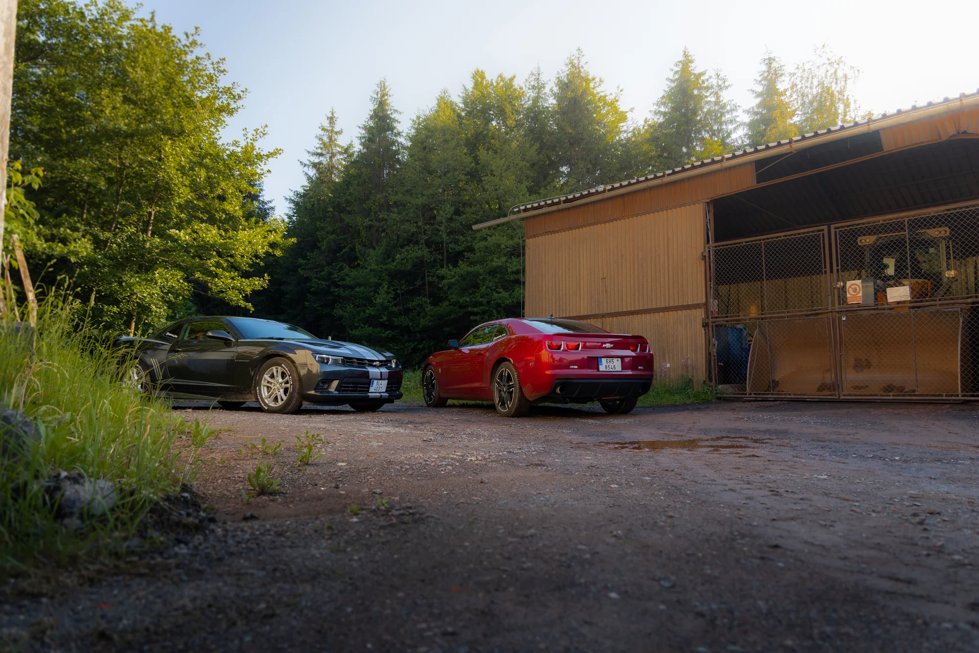 Pronájem Chevroletu Camaro Bumblebee i BodyKit SS: 3 hod. až 3 dny