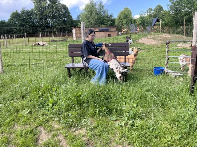 Procházka s kozou či koněm a pasení mini prasátek nebo ovcí na farmě v Jeseníkách