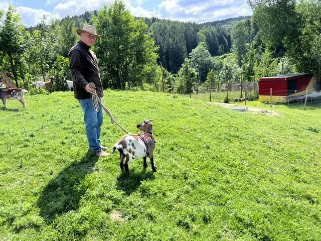 Procházka s kozou či koněm a pasení mini prasátek nebo ovcí na farmě v Jeseníkách
