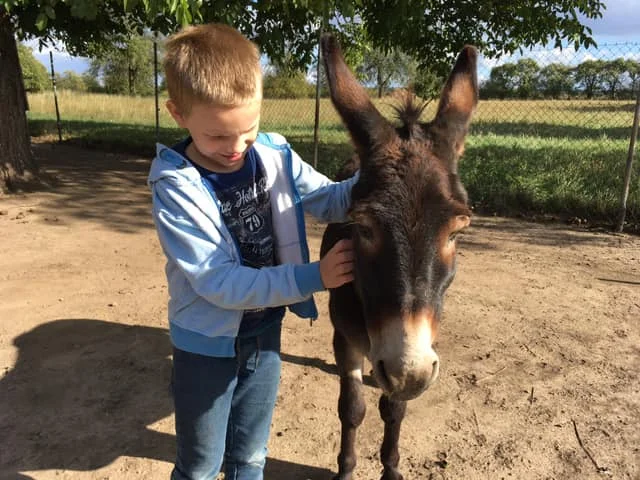 Na procházku s oslíkem i vč. krmení nebo profesionální focení 9 snímků