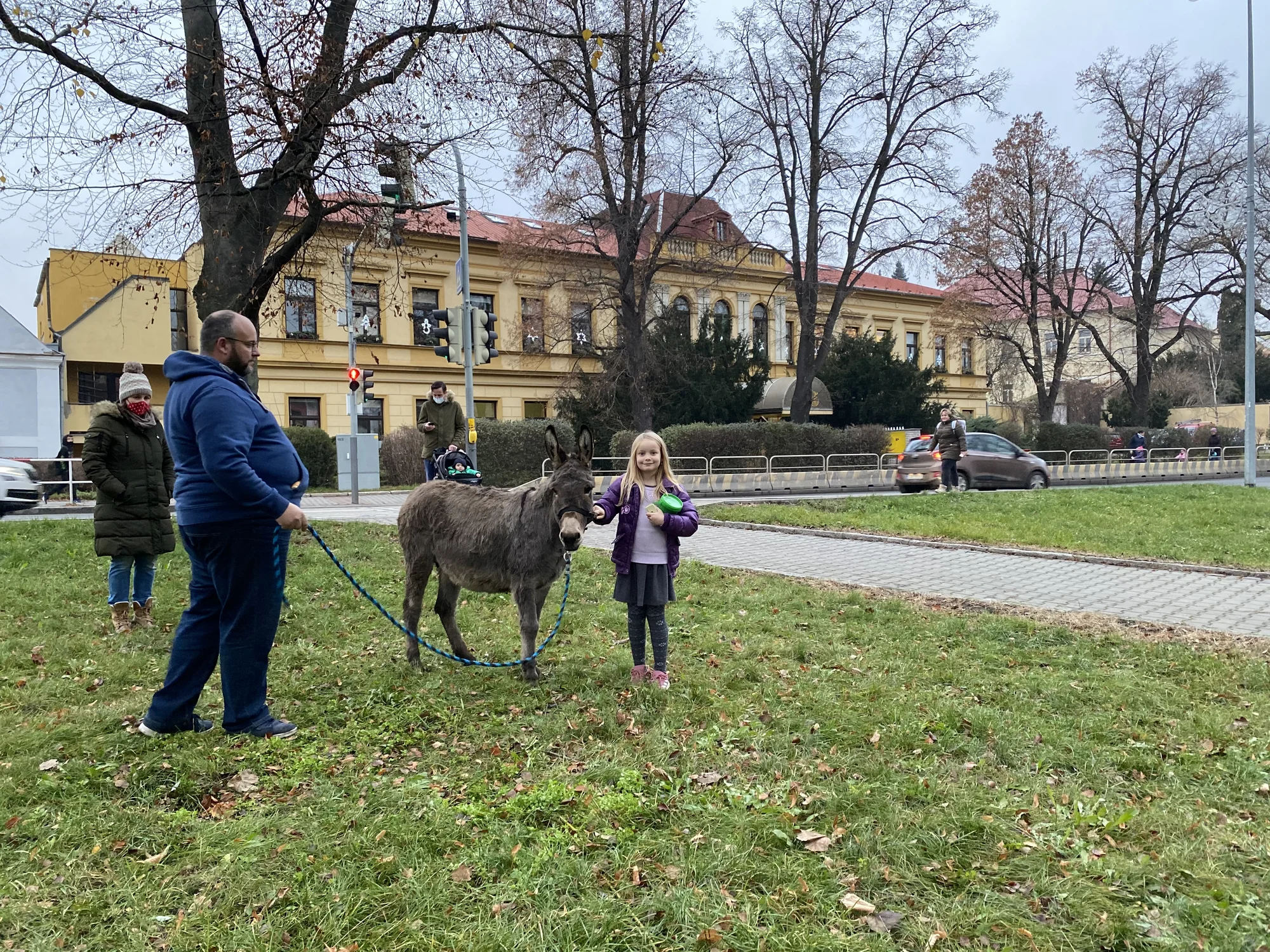 Na procházku s oslíkem i vč. krmení nebo profesionální focení 9 snímků