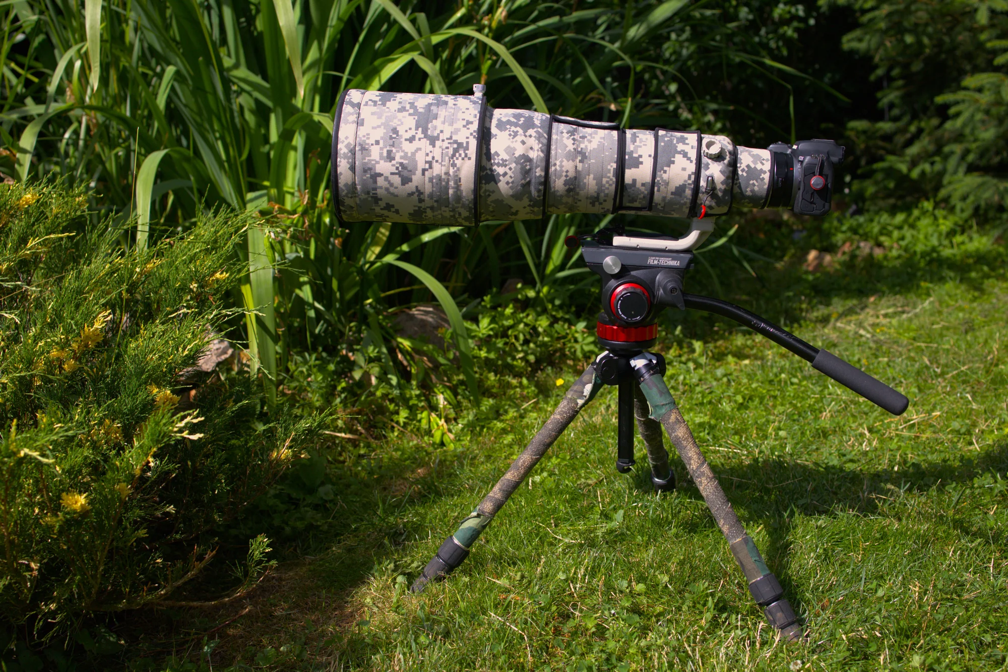 4hodinový individuální kurz focení v přírodě: půjčení techniky i pronájem fotokrytu