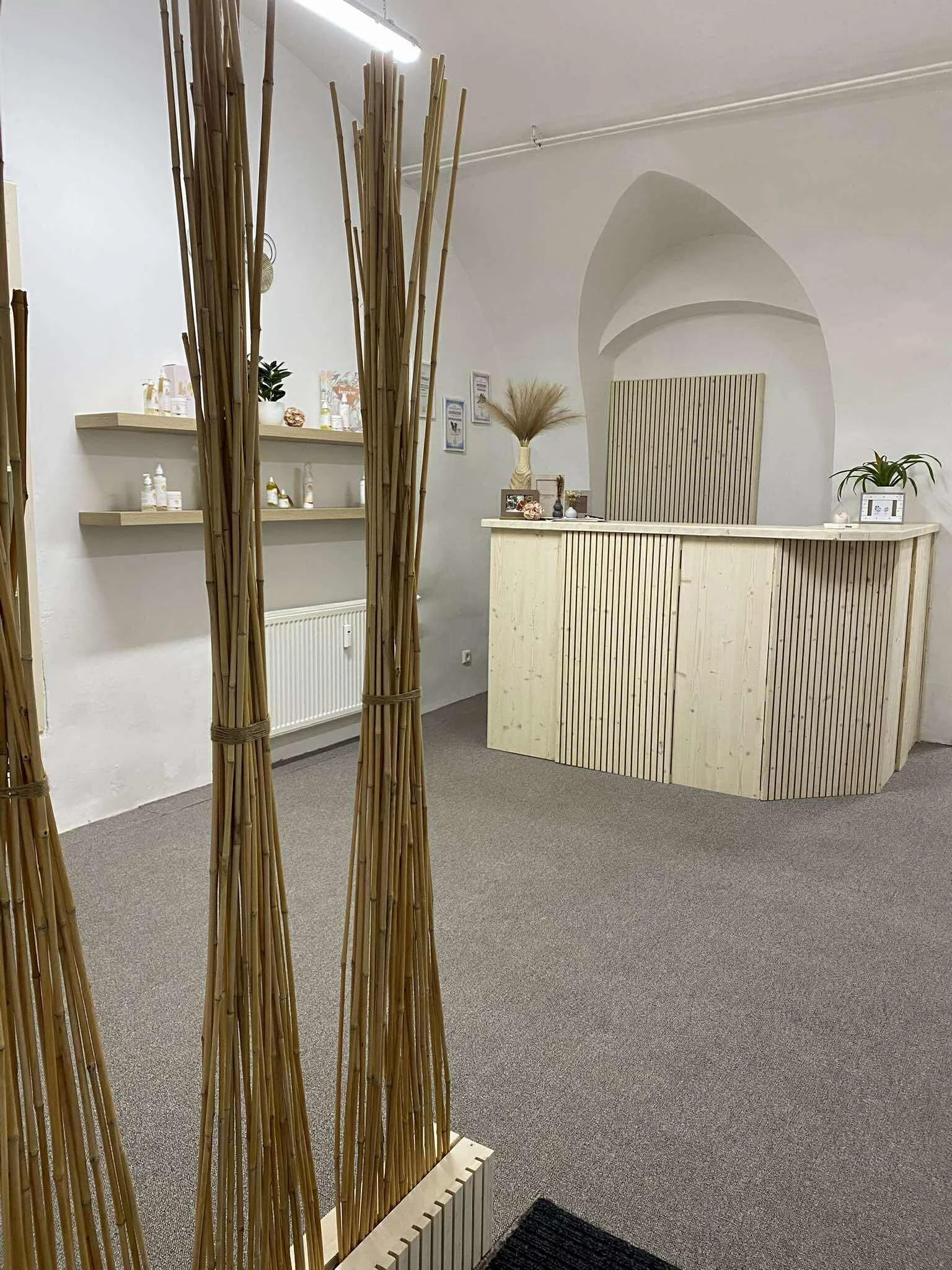 Dentální hygiena pro psy: čištění zubů, odstranění zubního kamene i poradenství