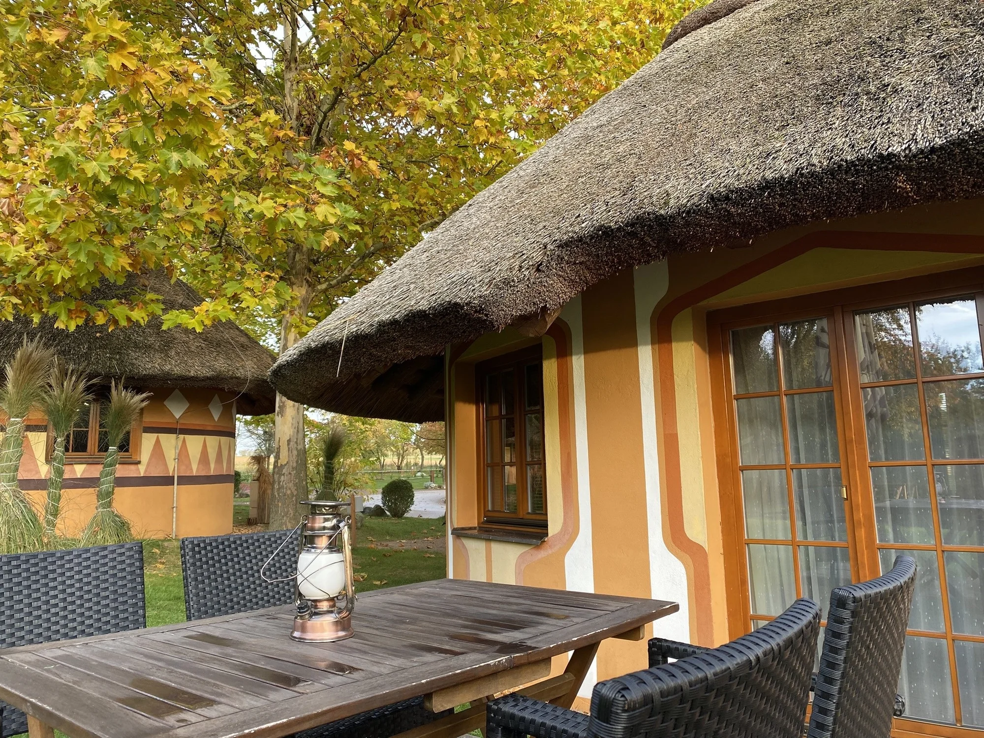 Afrika ve Dvoře Králové: bungalov v kempu, snídaně, neomezený vstup do safari i vířivka