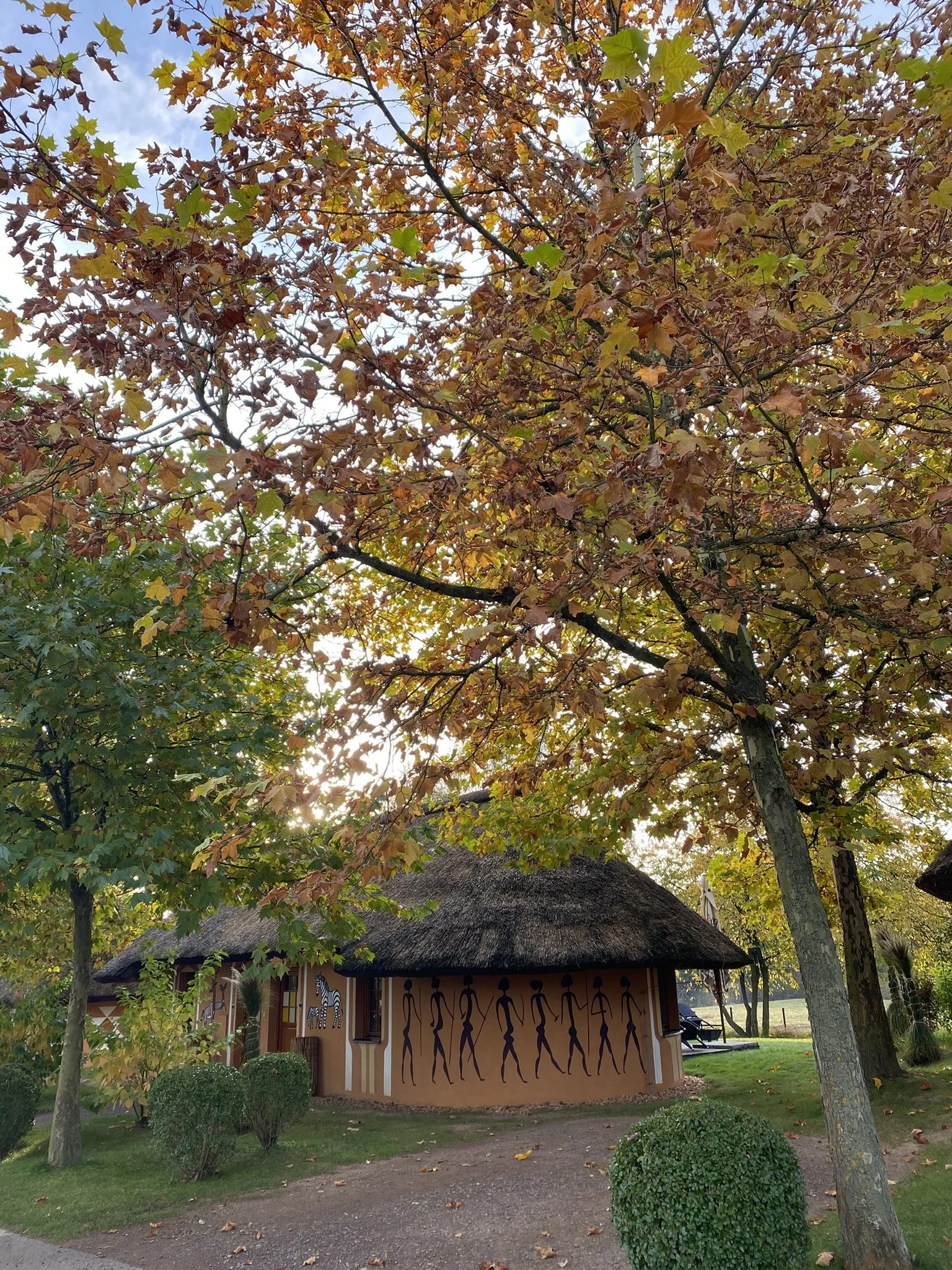 Afrika ve Dvoře Králové: bungalov v kempu, snídaně, neomezený vstup do safari i vířivka