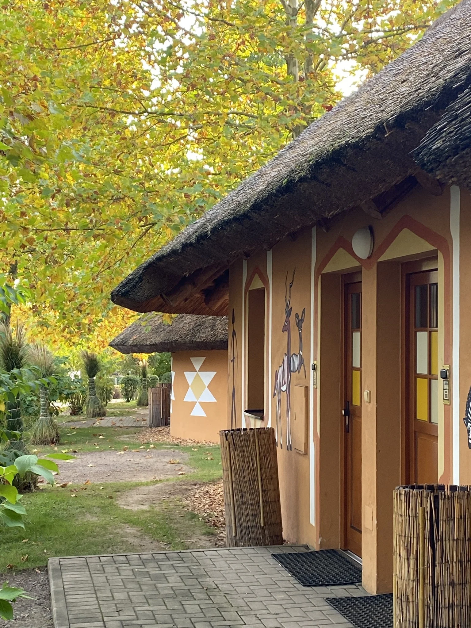 Afrika ve Dvoře Králové: bungalov v kempu, snídaně, neomezený vstup do safari i vířivka