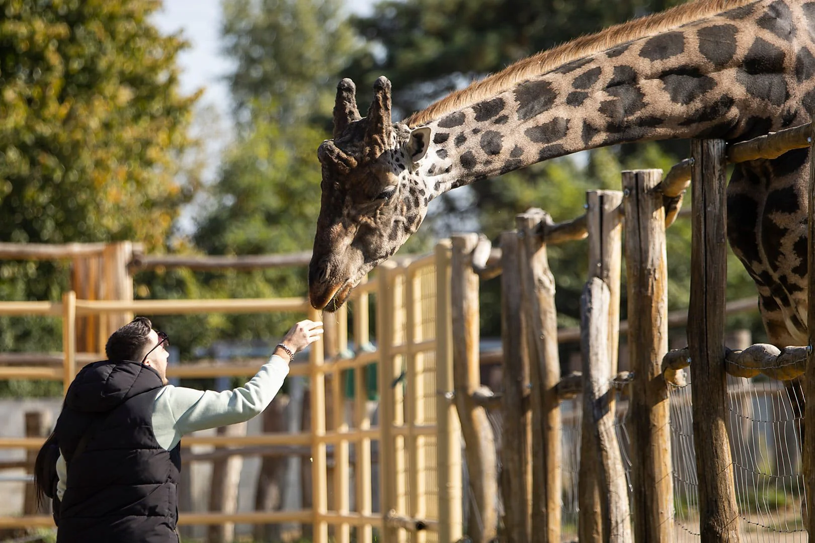 Pobyt v Győru: 3* hotel s neomezeným wellness, možnost vstupenky do zoo