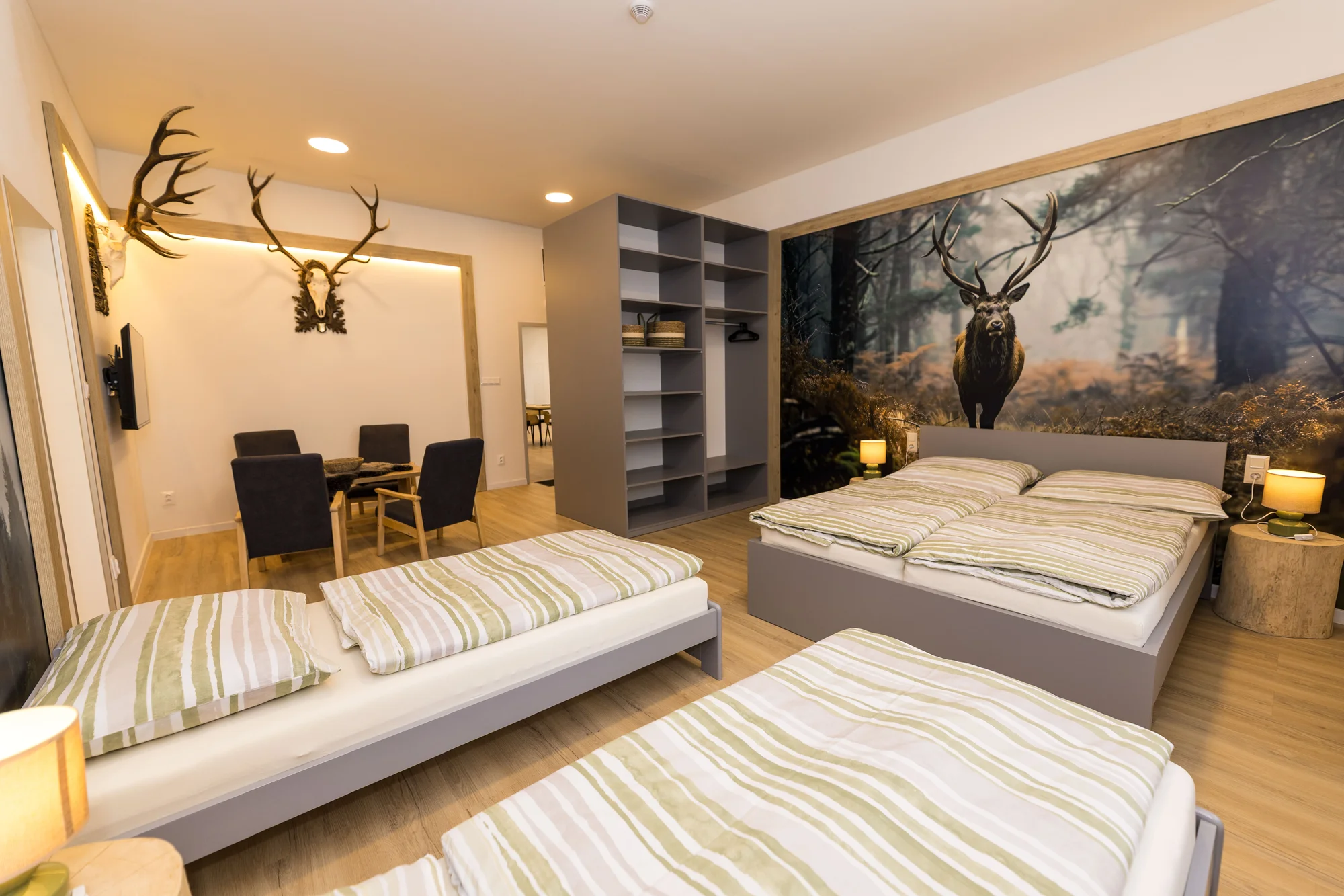 Moderní apartmány v Karlově pod Pradědem, vč. snídaně či polopenze i vlastní kuchyňky