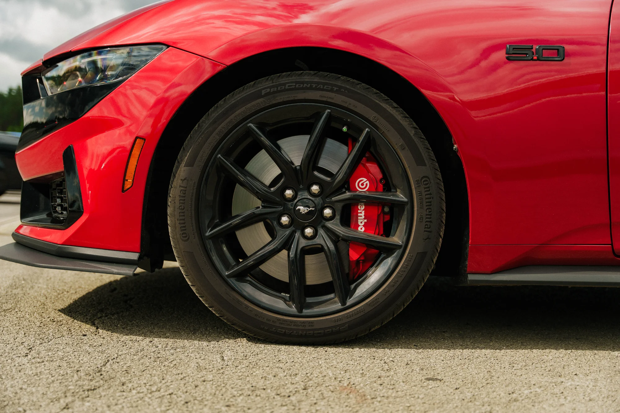 Řízení či spolujízda na závodním okruhu v autě podle výběru: Mustang, Dodge, EVO